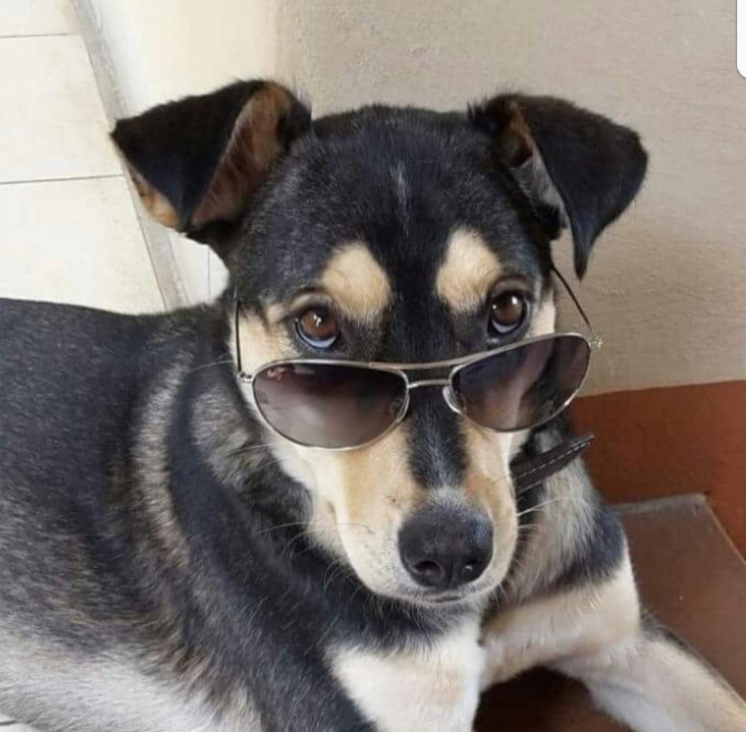 Huesos
