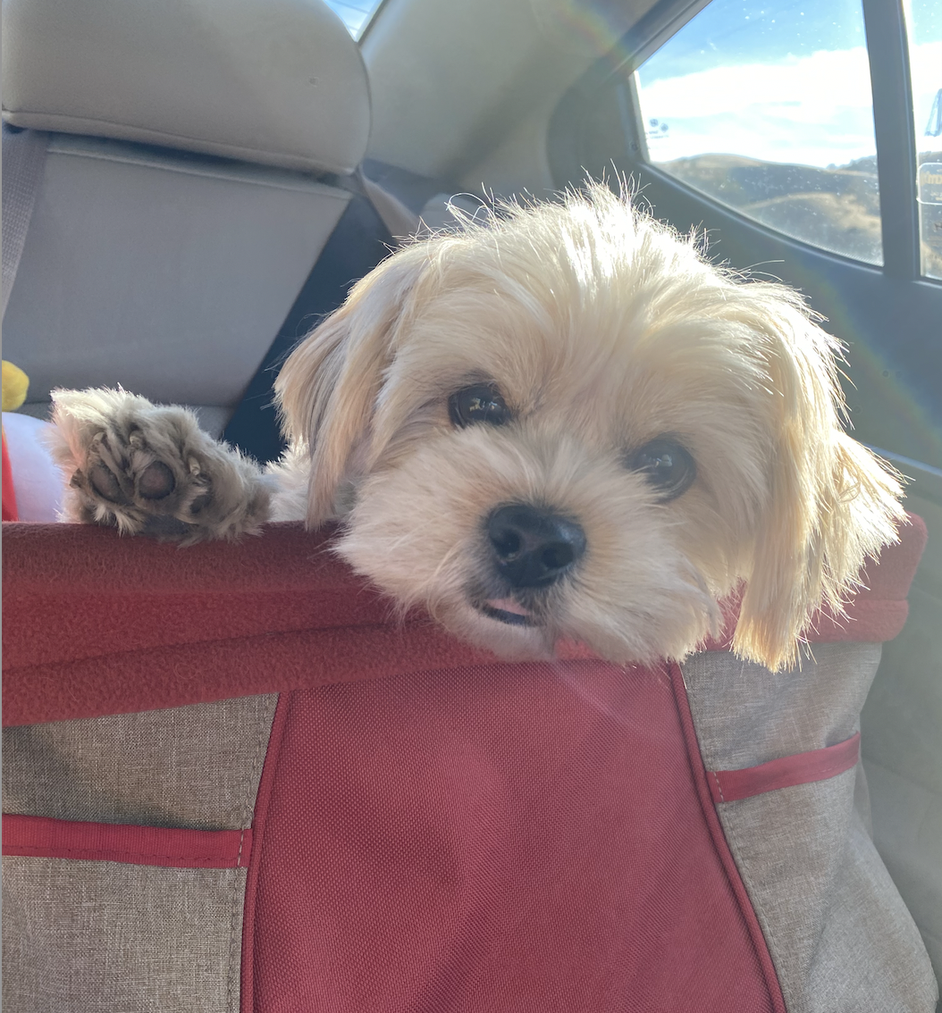 Rupert