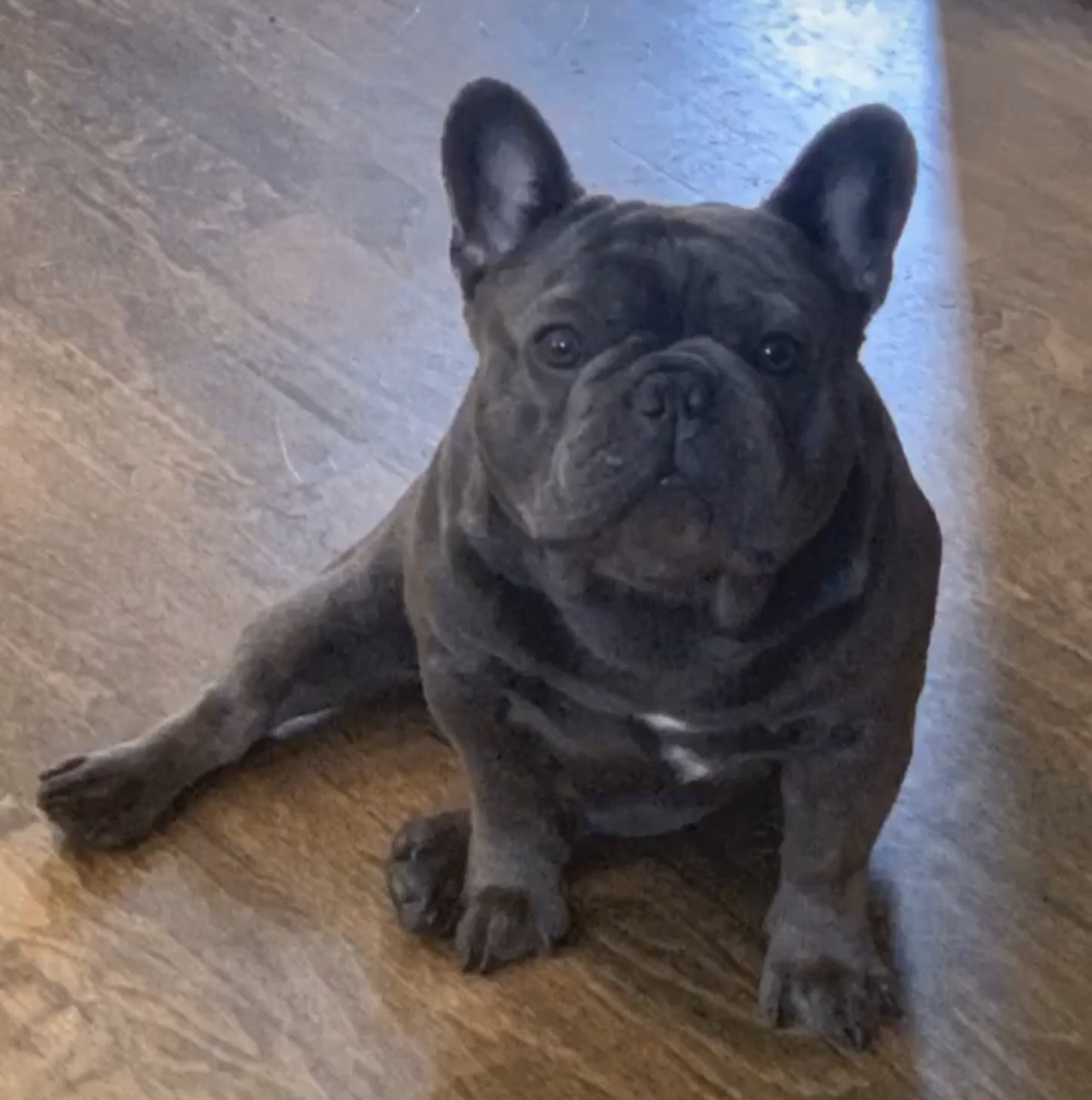 Pablo