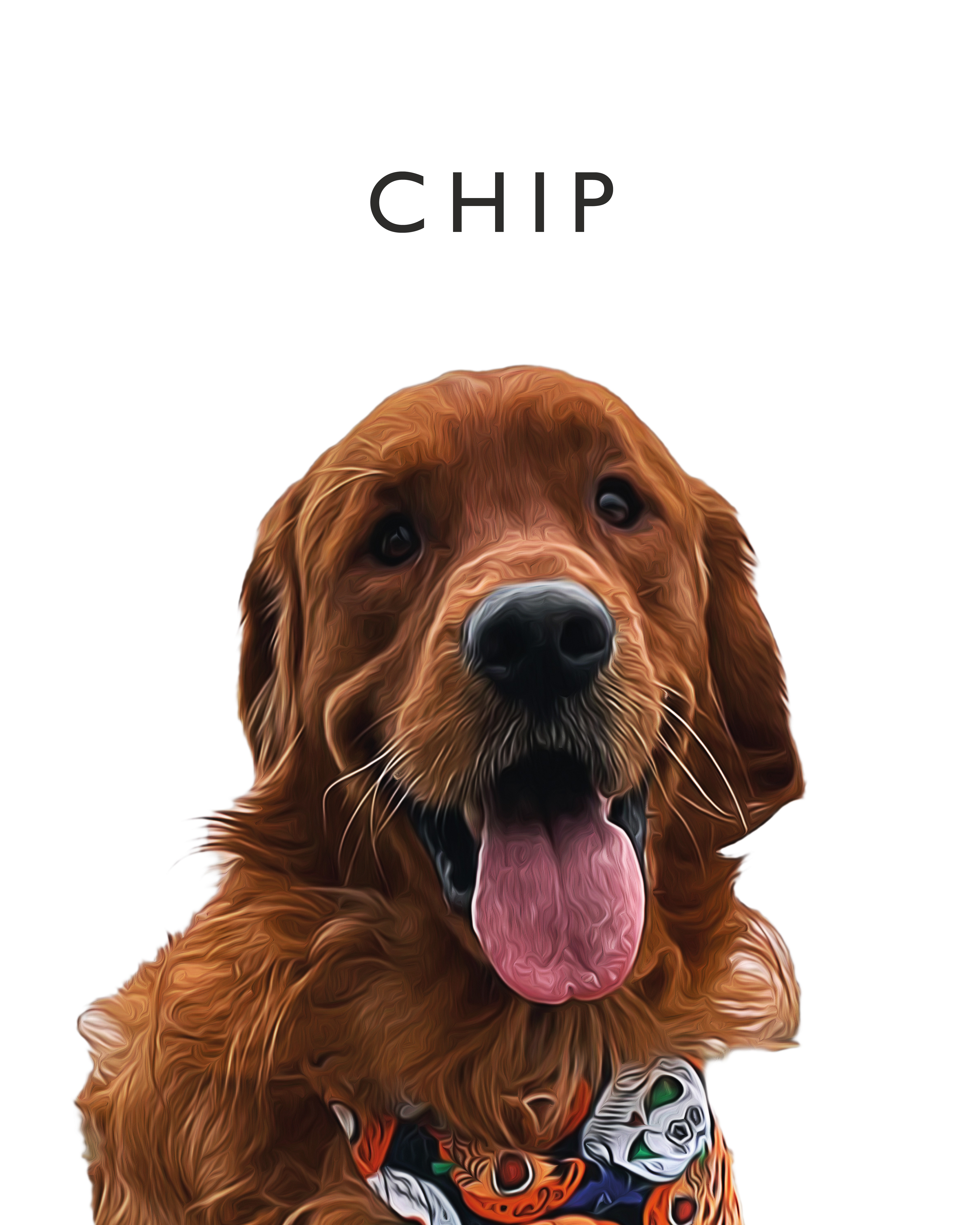 Chip