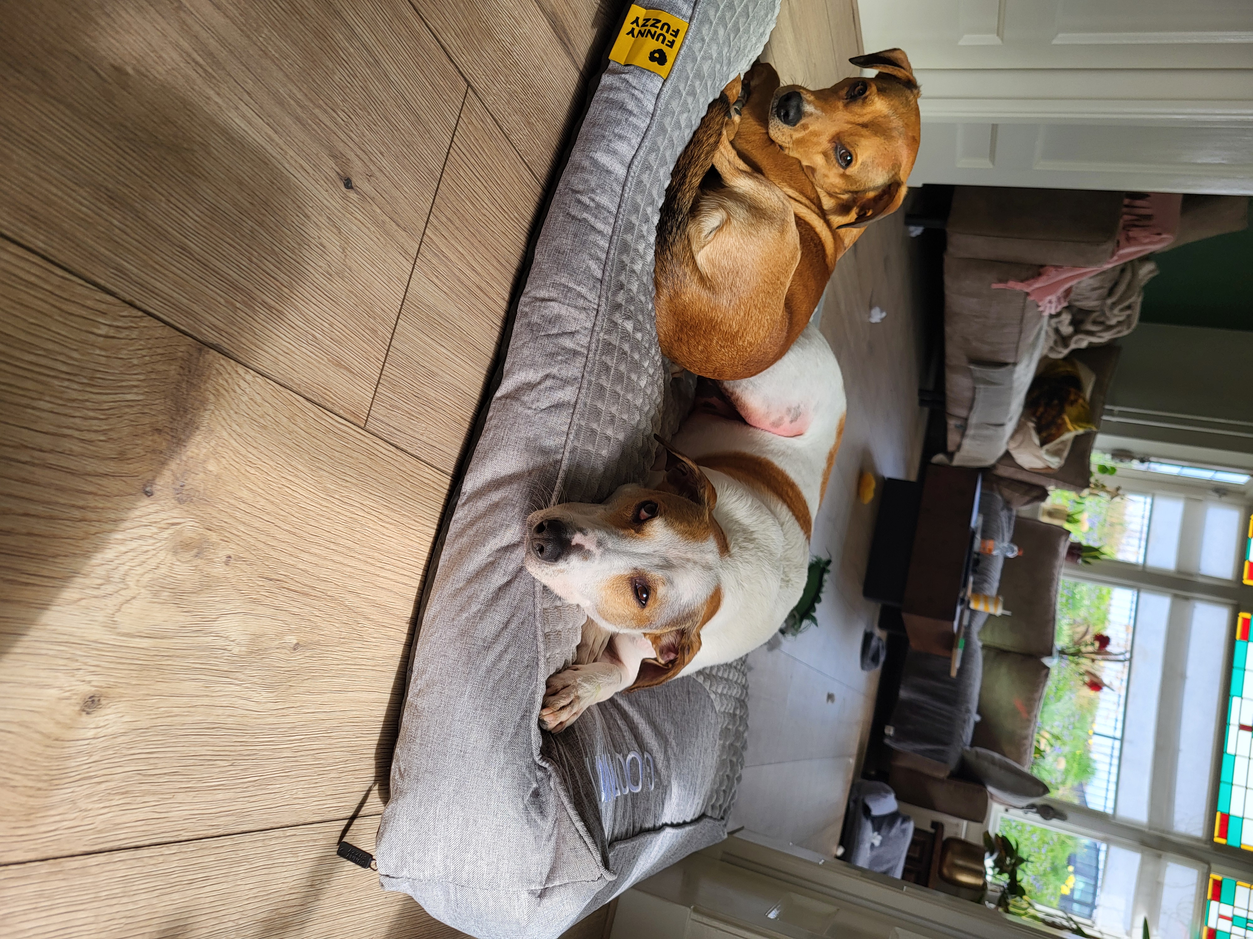 Bengie&Freek