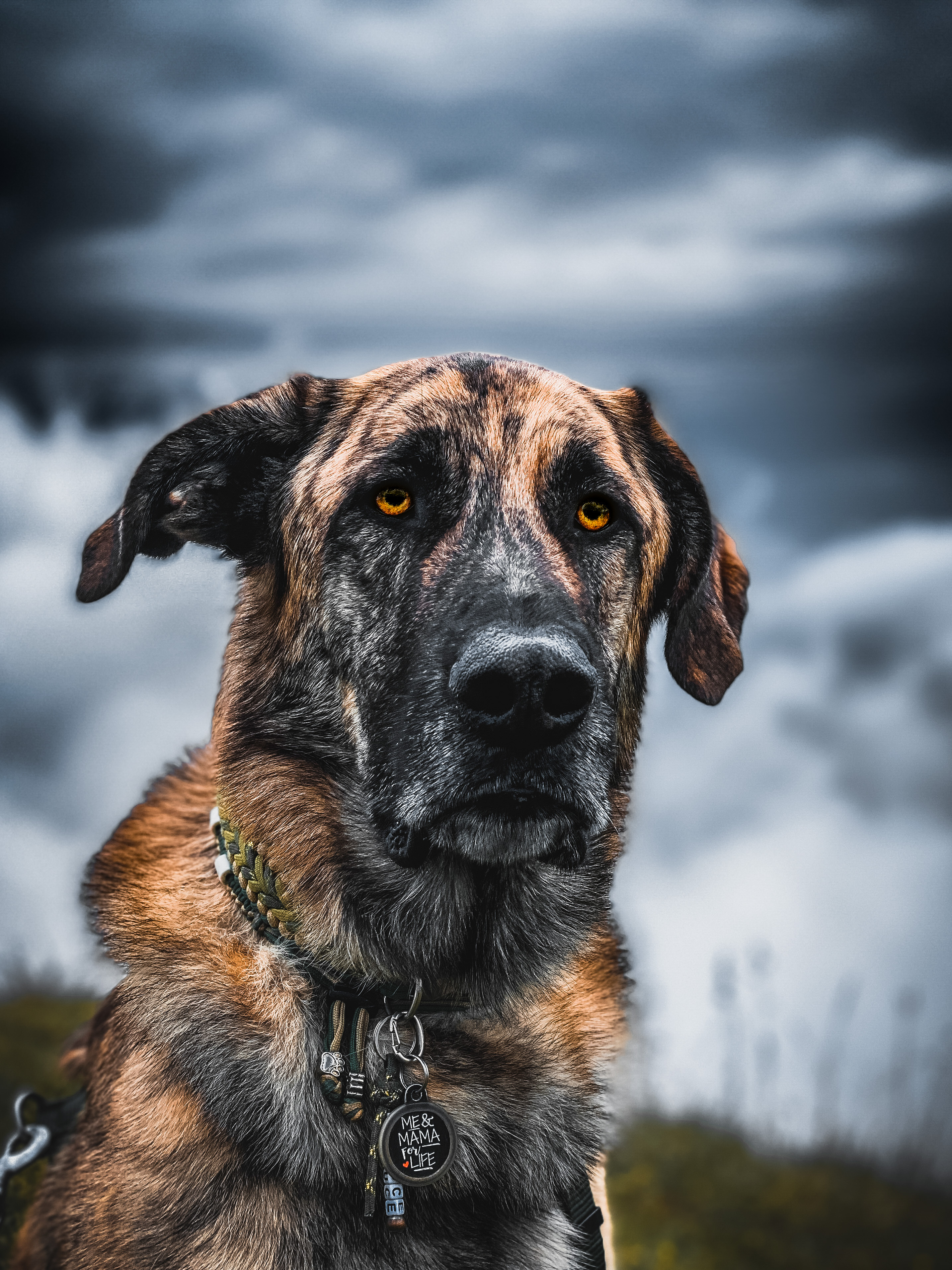 Bruce