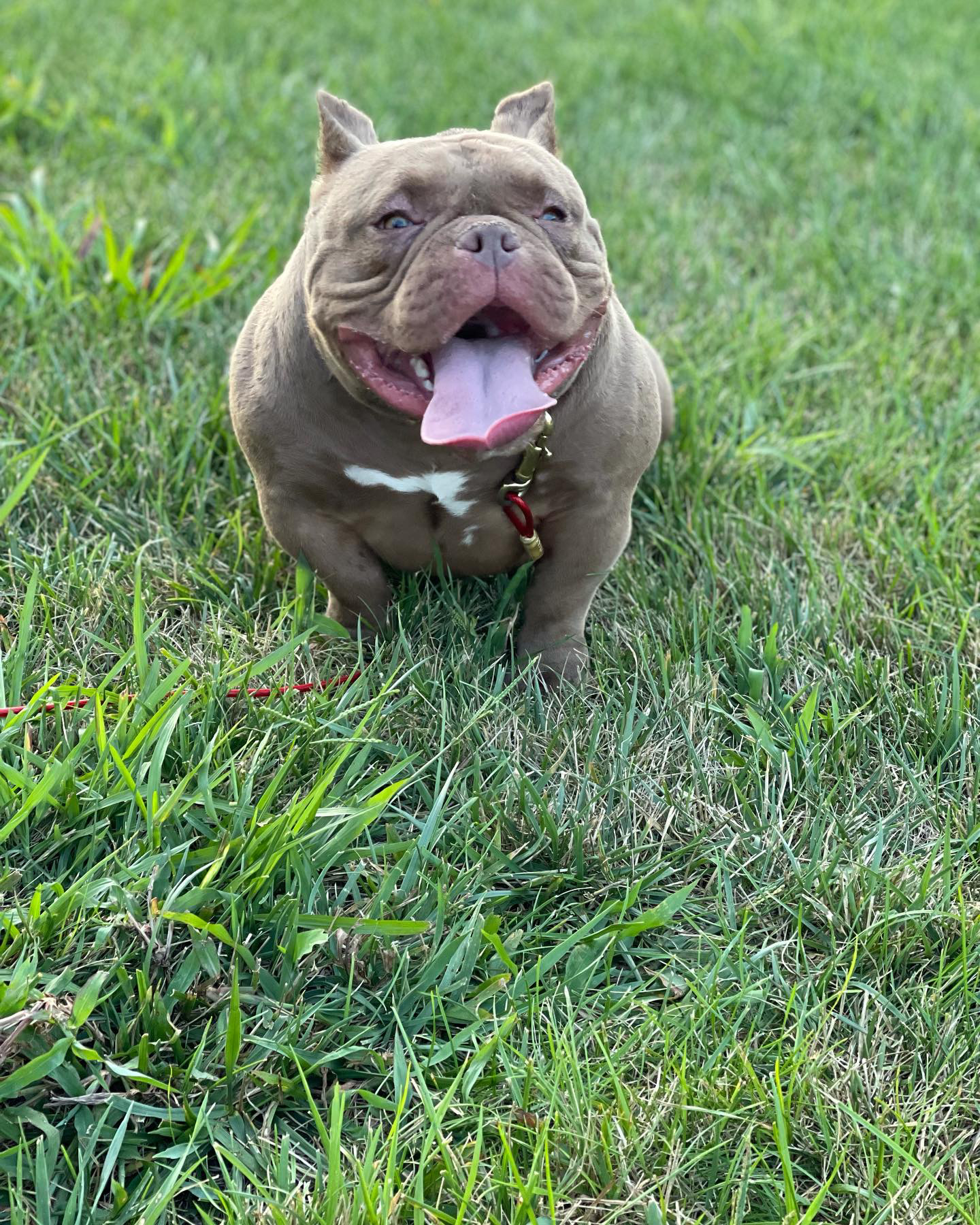 Sunny