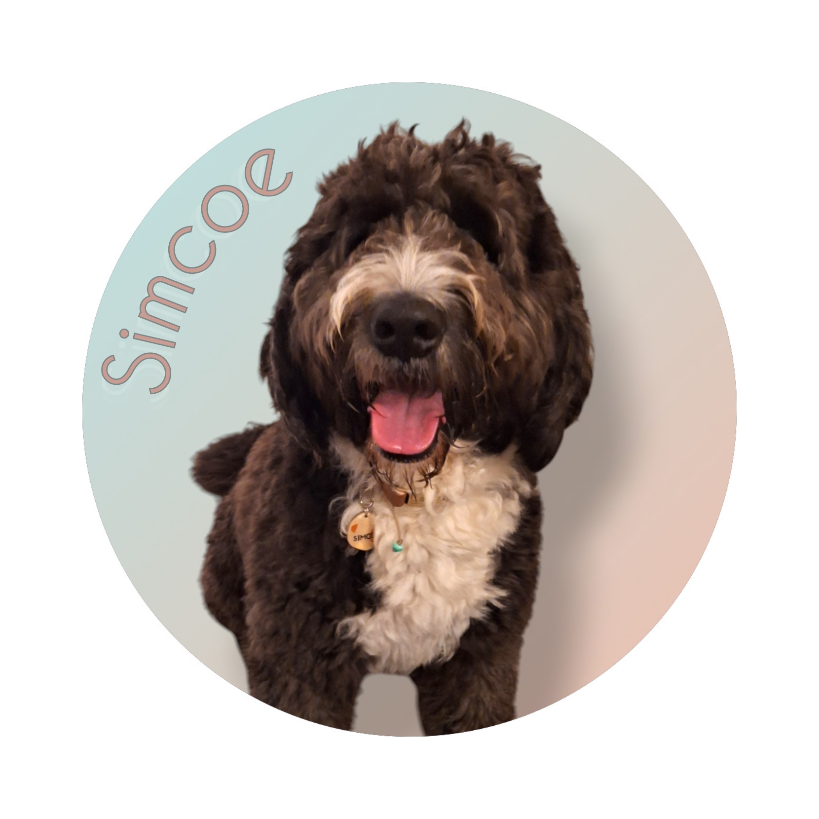 Simcoe