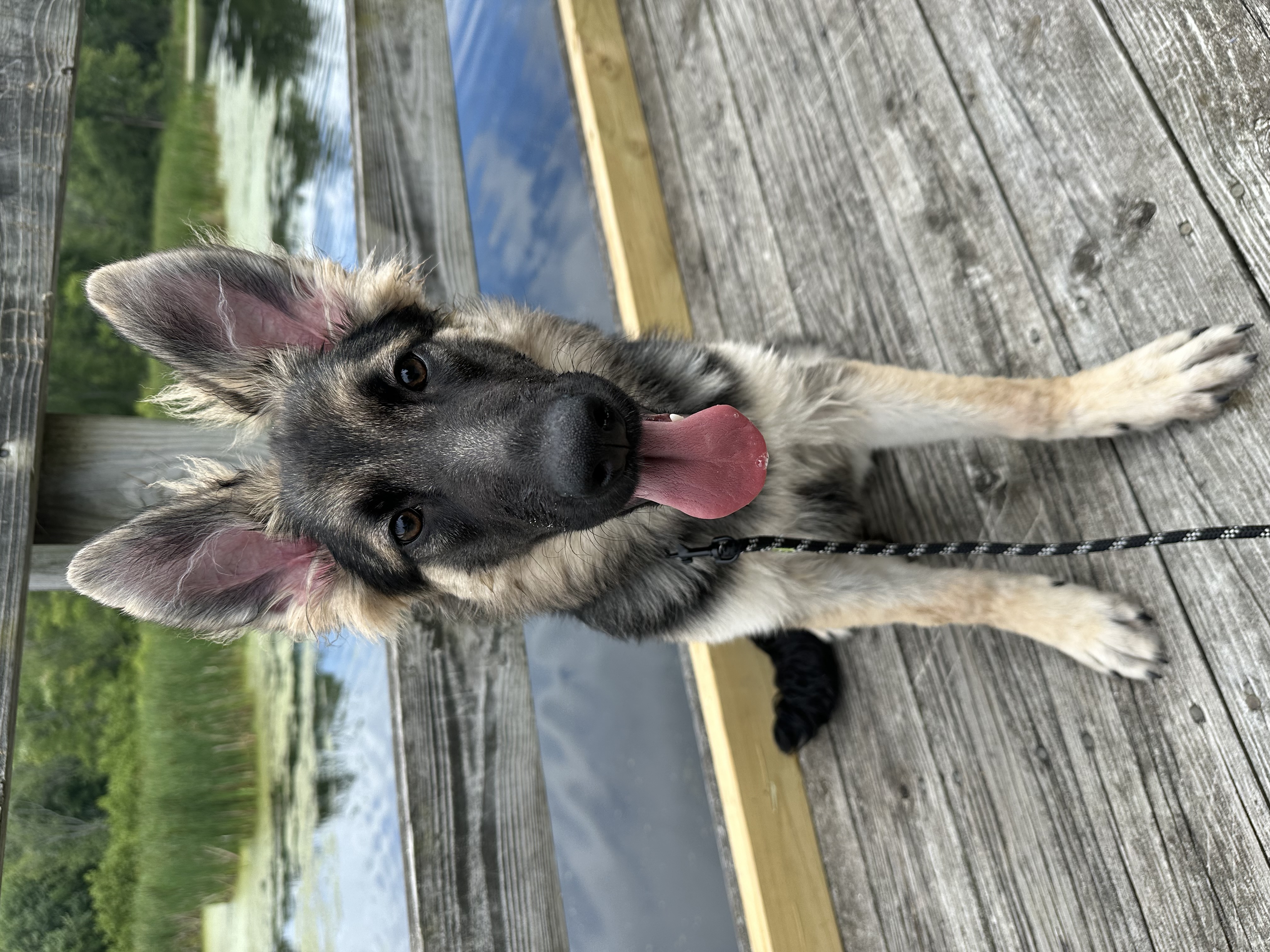 Charlie