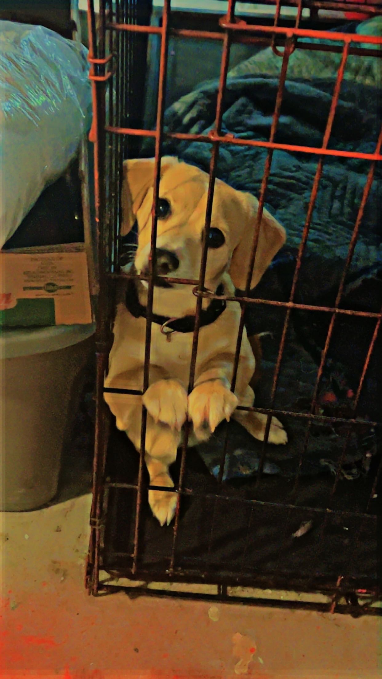 Samuel L. “Sammy Sosa” Henderson