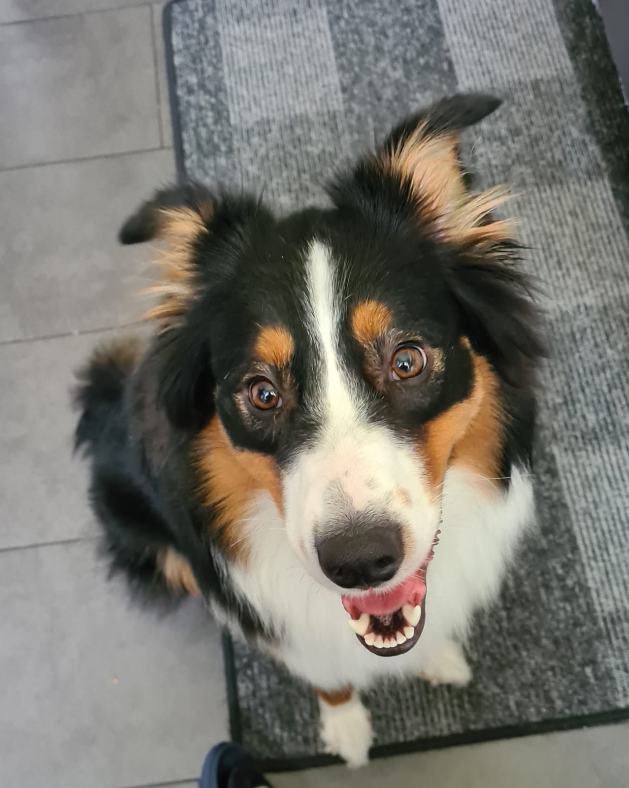 Diva