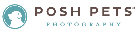 Posh Pets® Photography