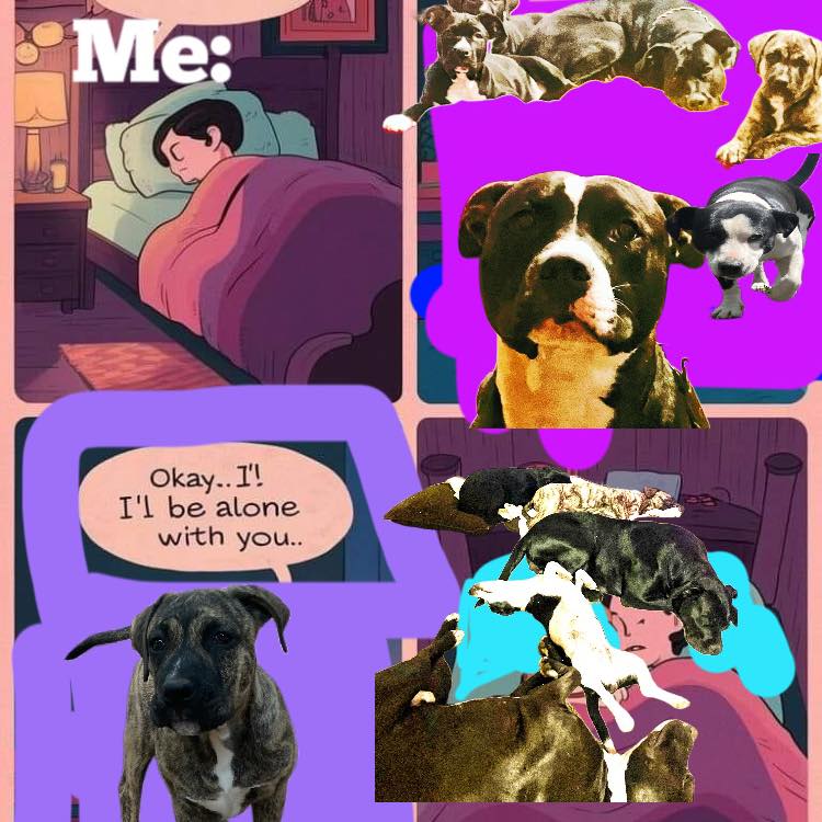 kairos freya long haired girl ricky & matilda