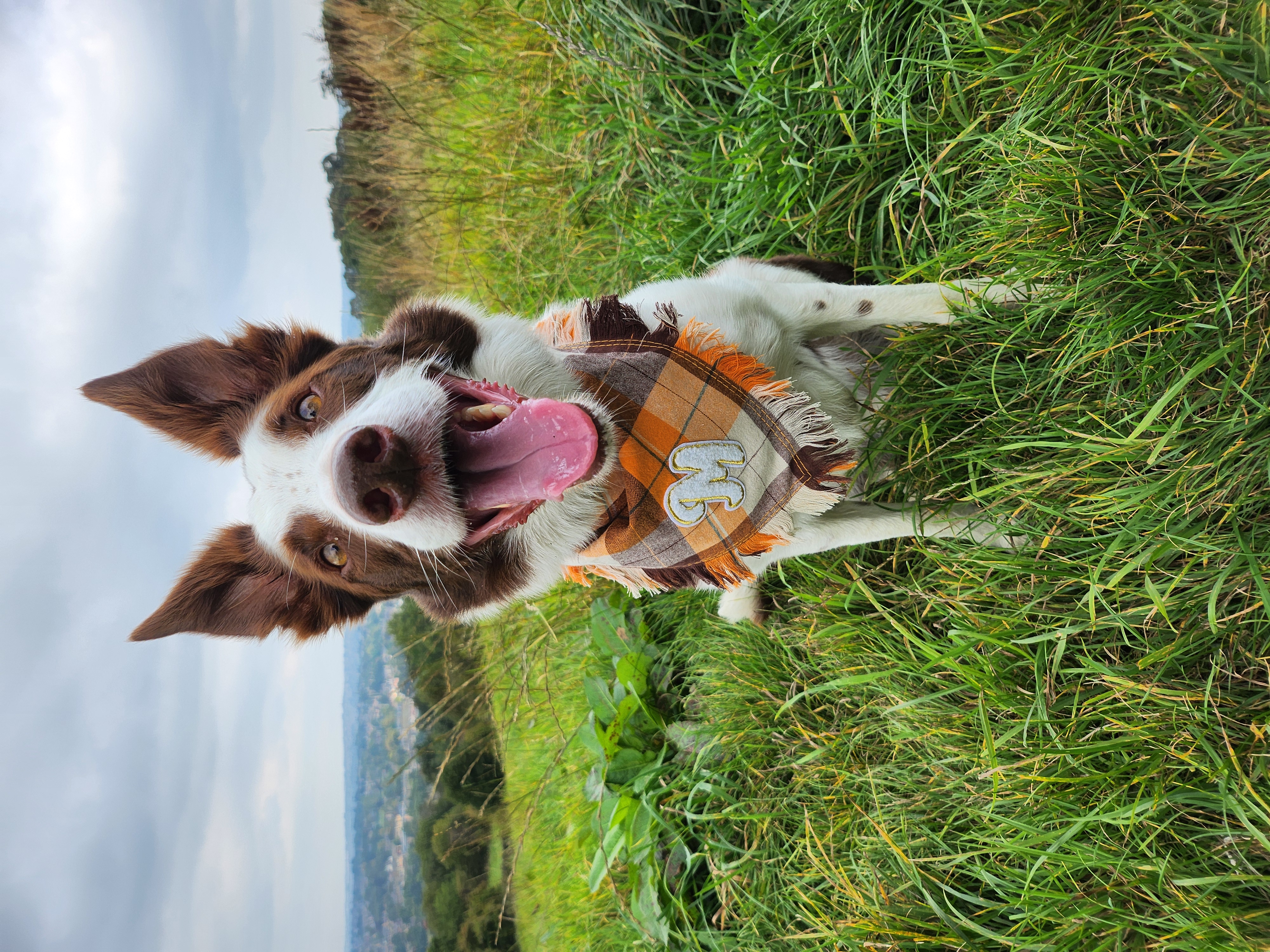 Max