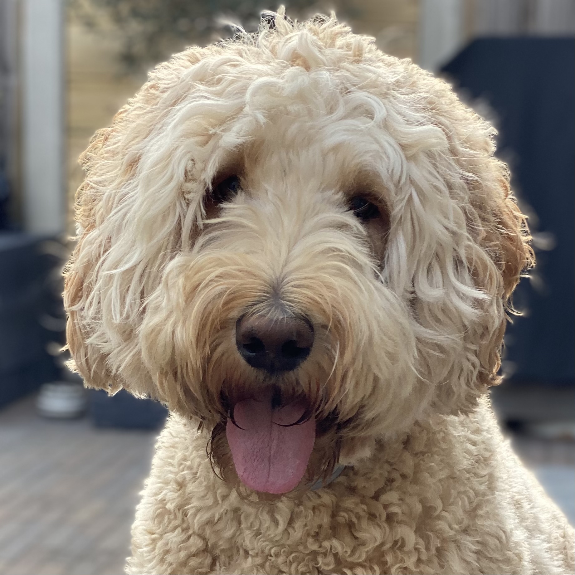Sam