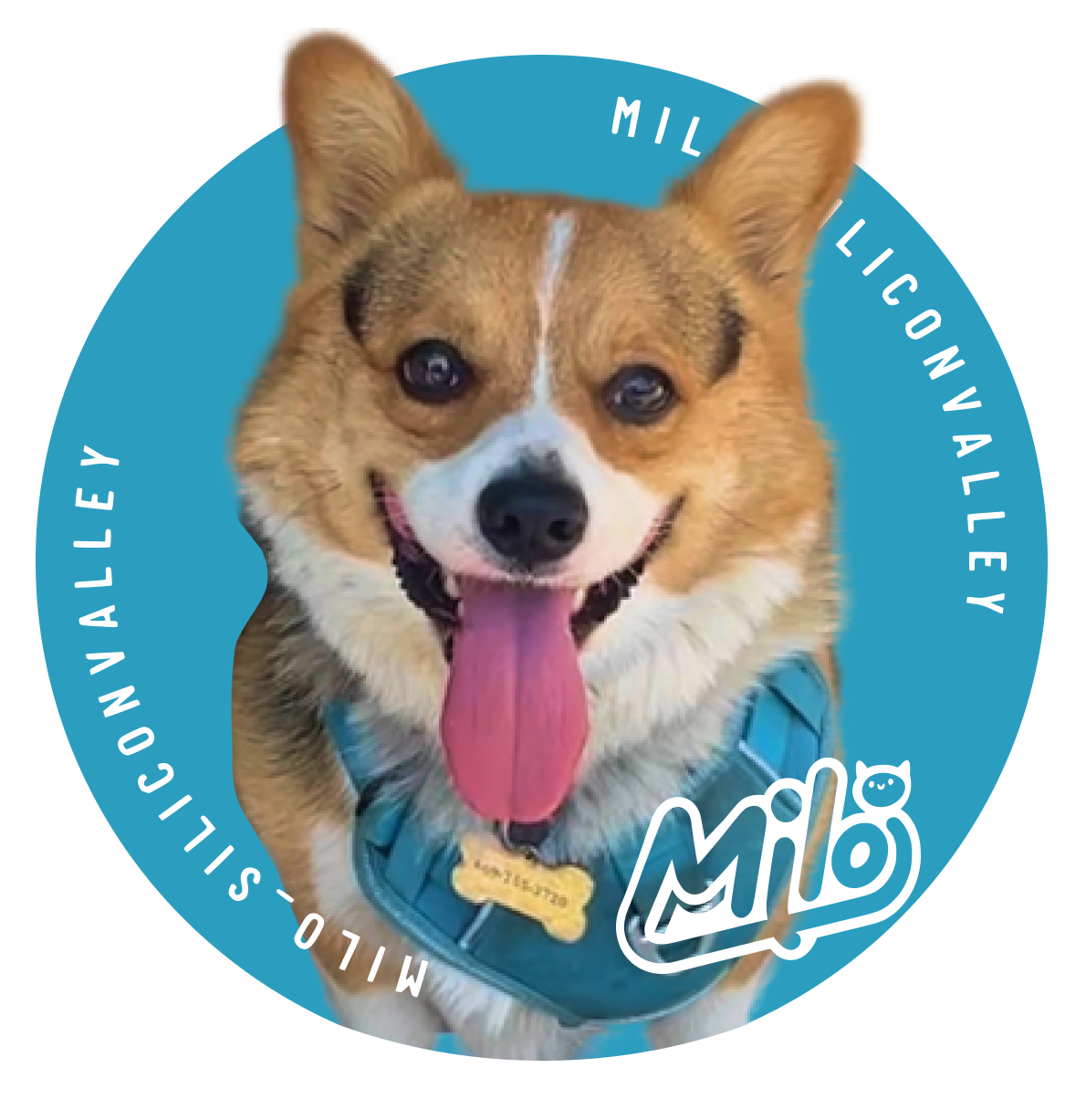 MIlo