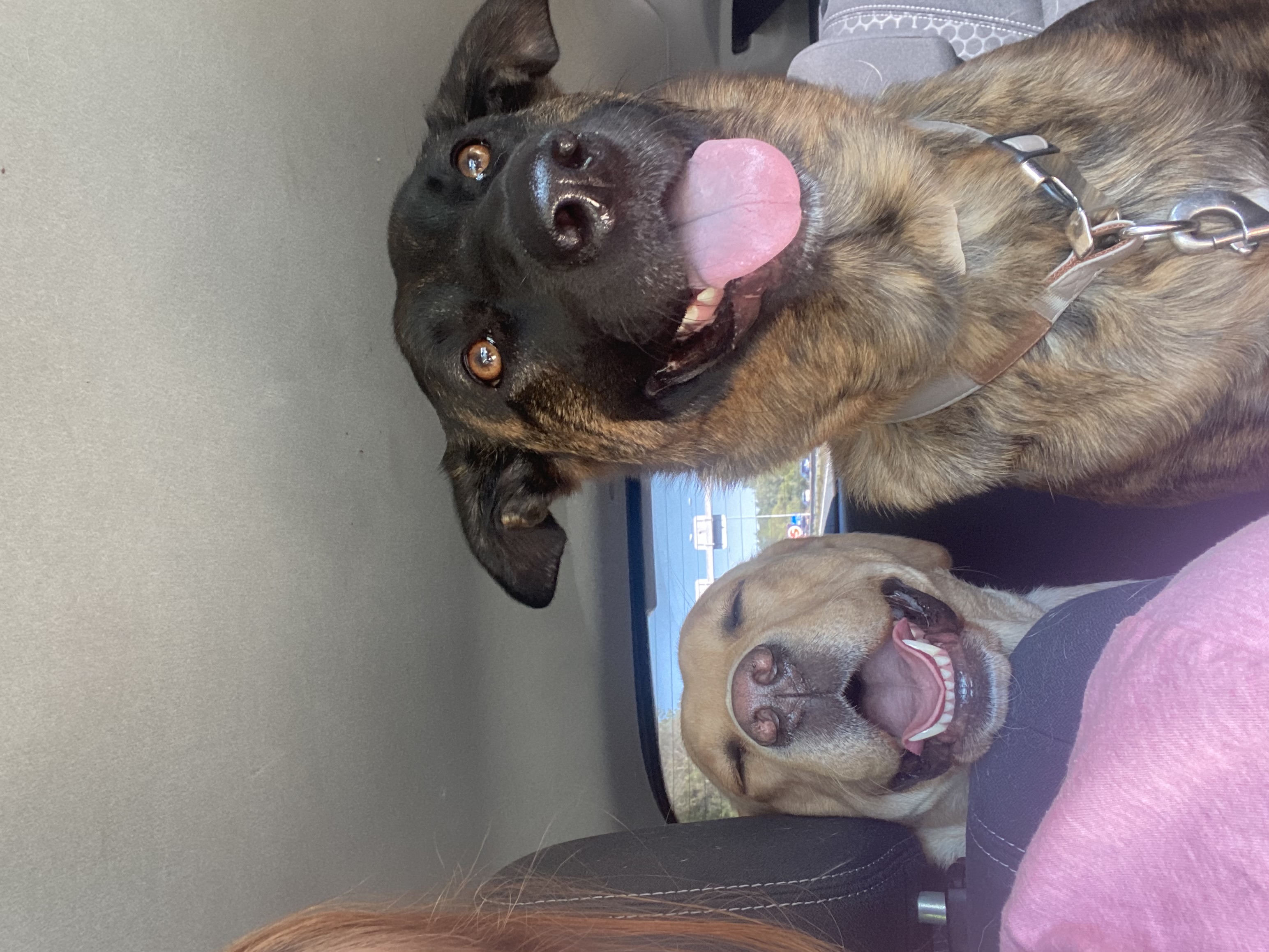 Nova & Lexi