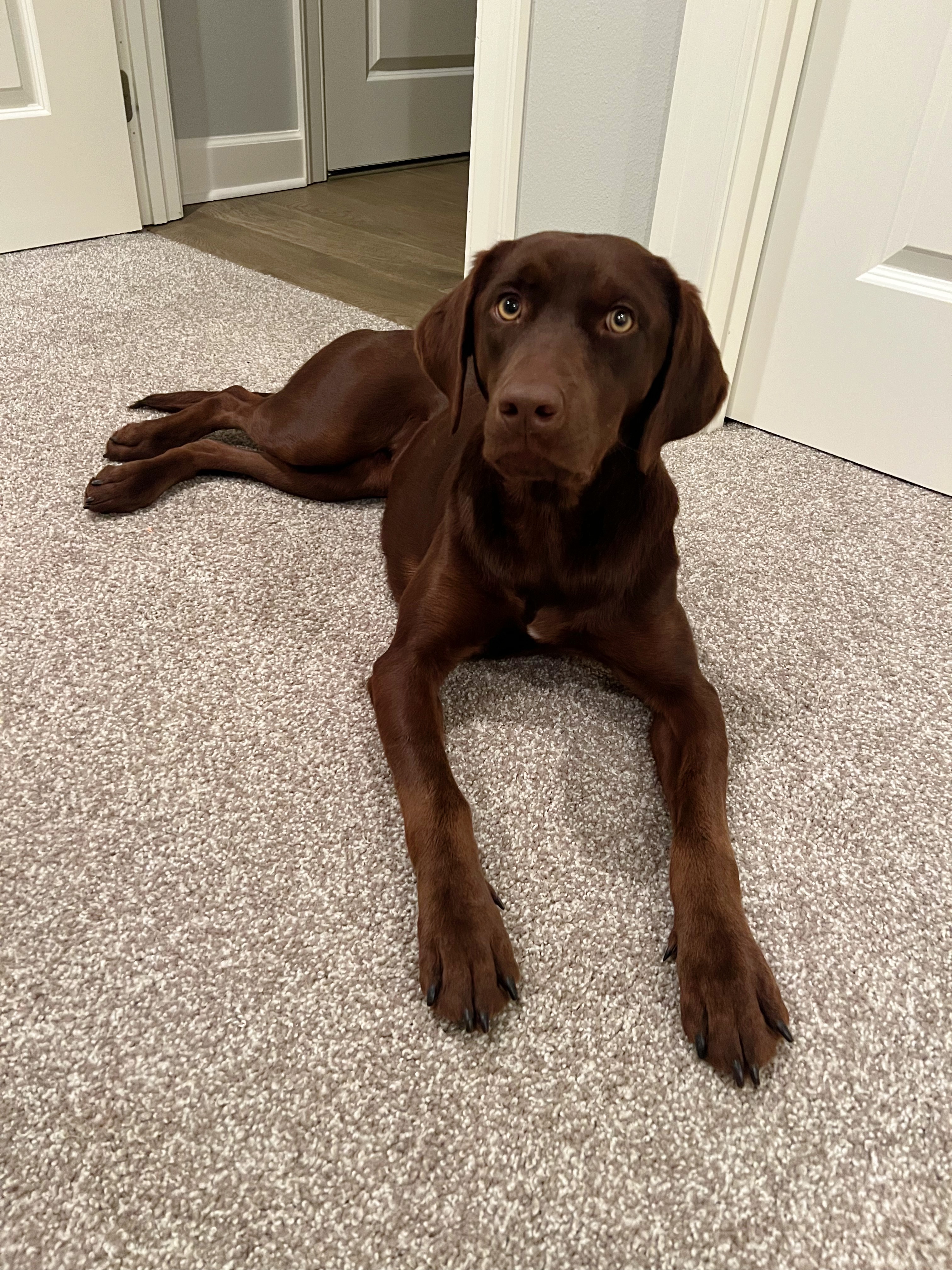 Remington, goes by "Remi"