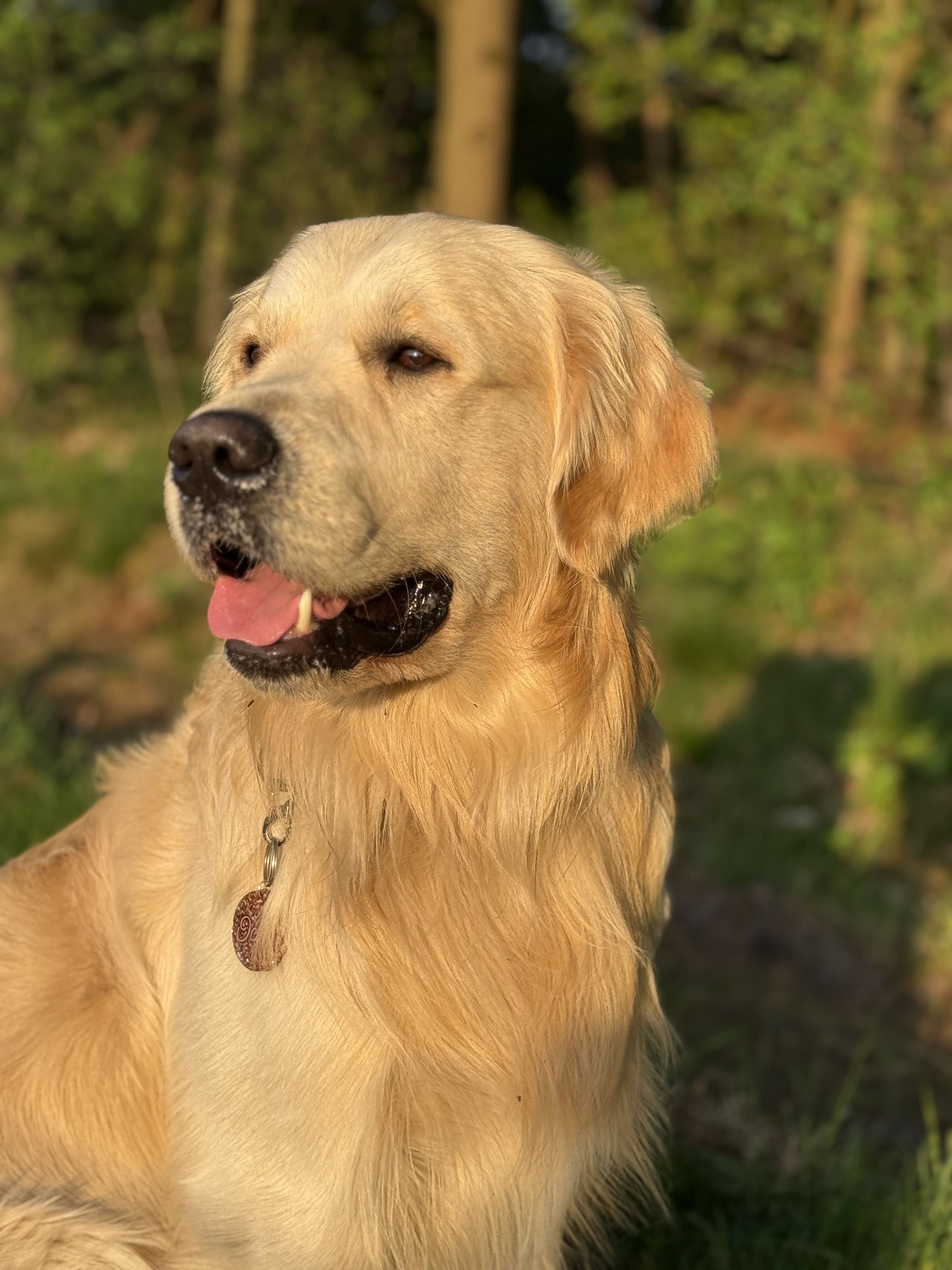 Odin