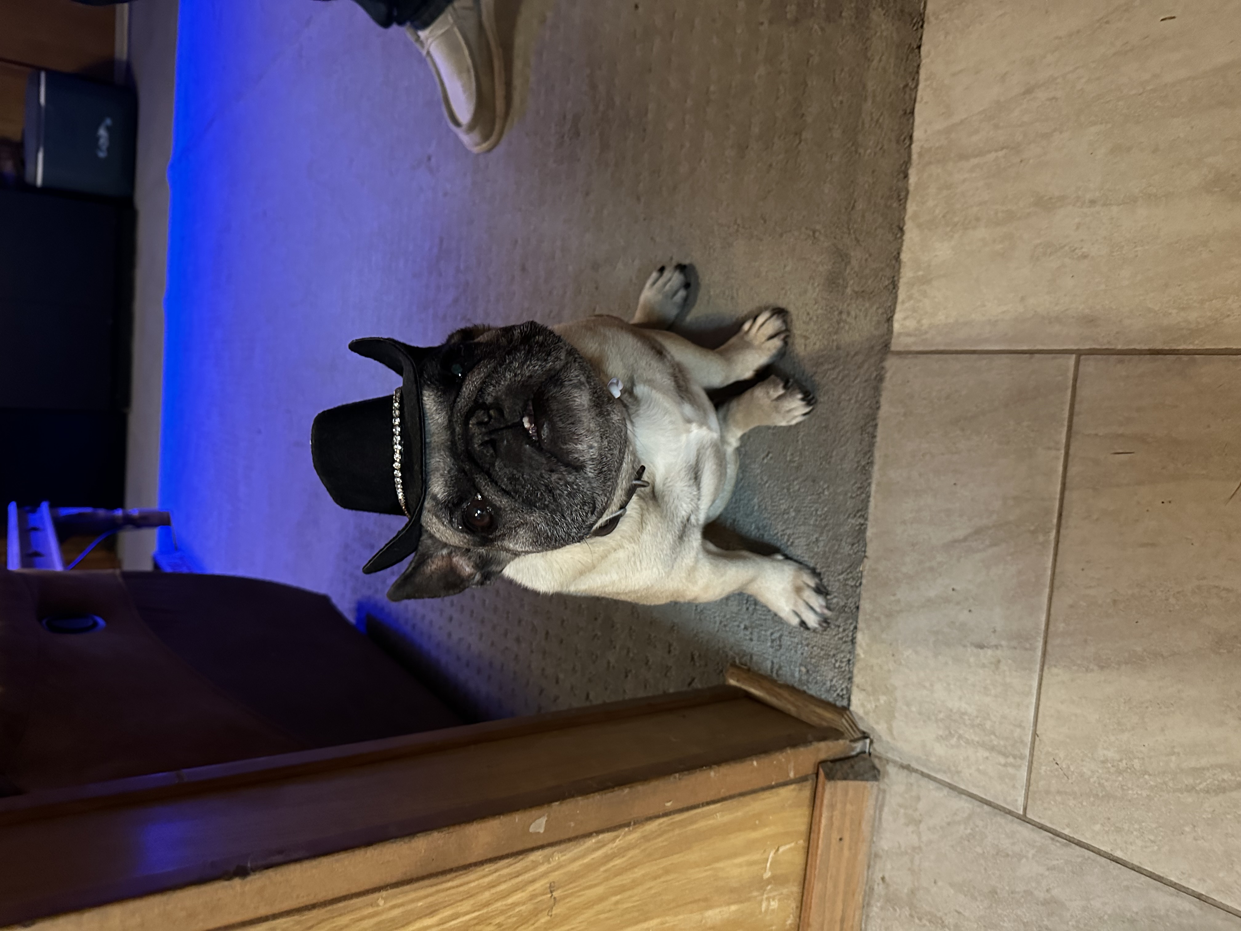 Milo