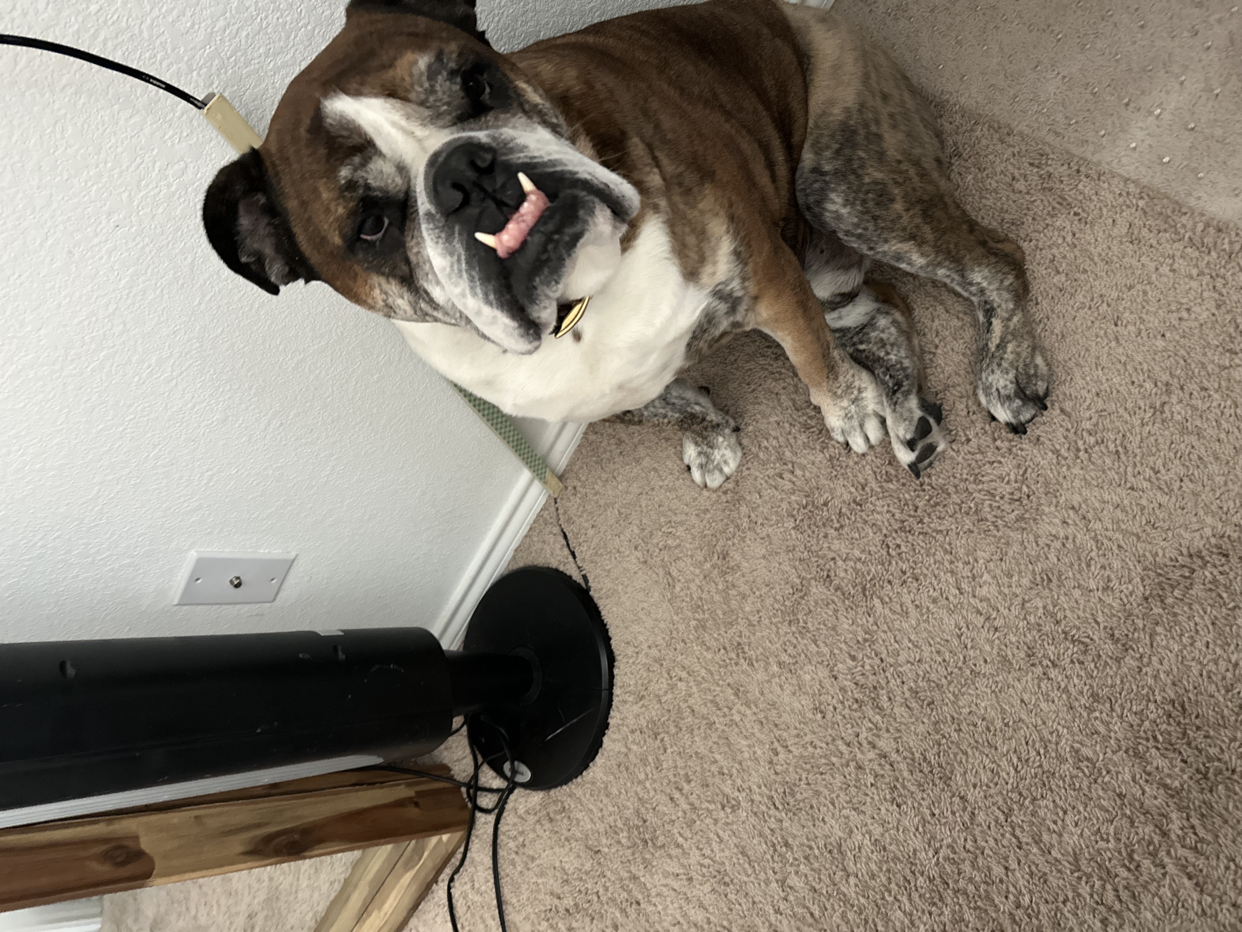 Max