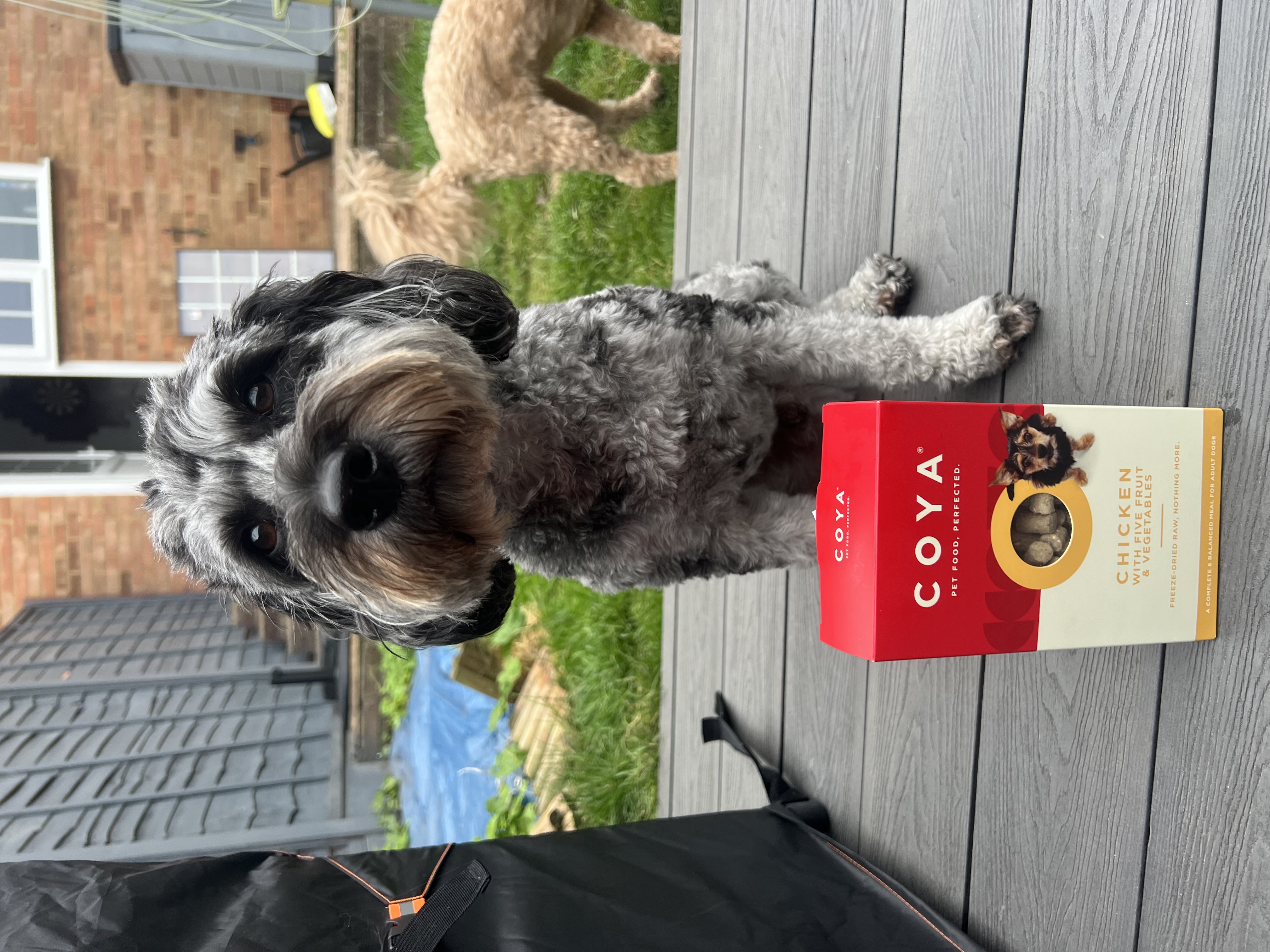 Oakley