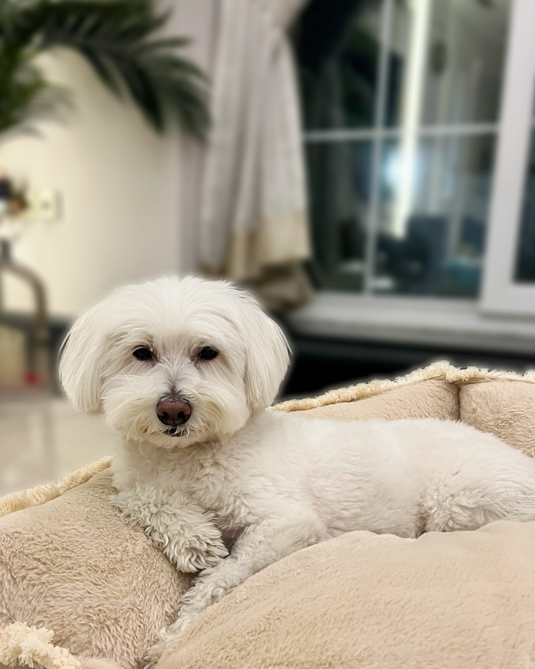 Casper
