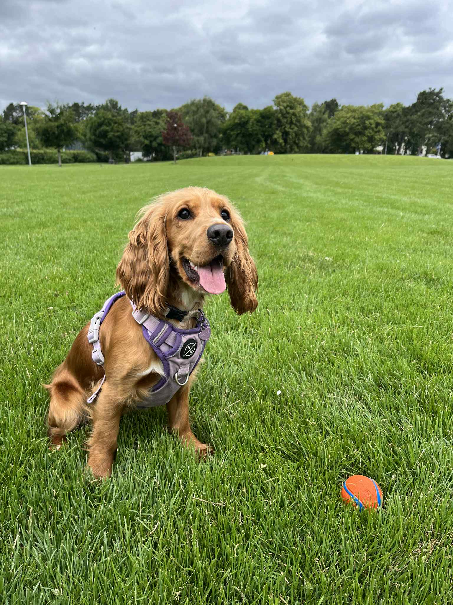 Bonnie