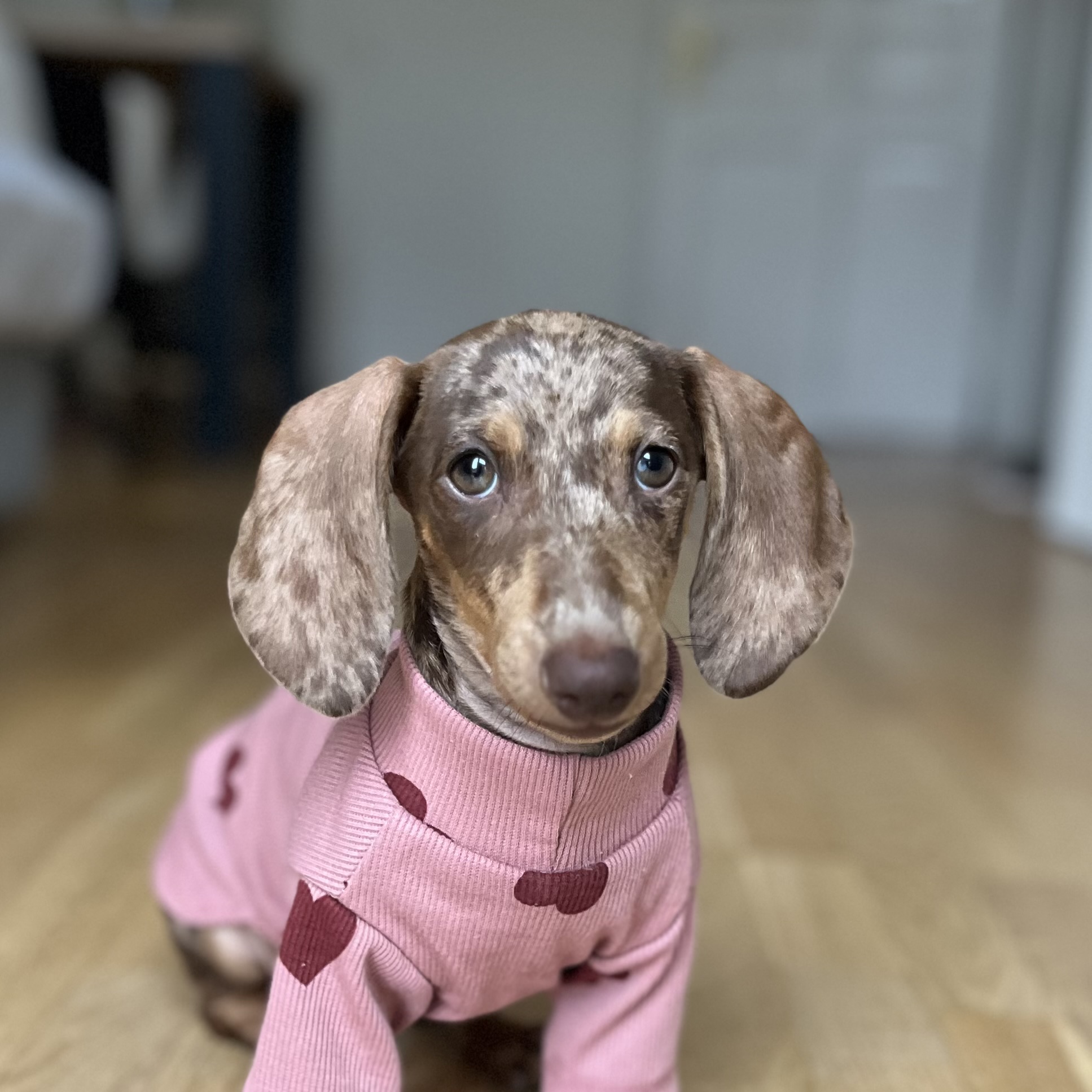 Ellie