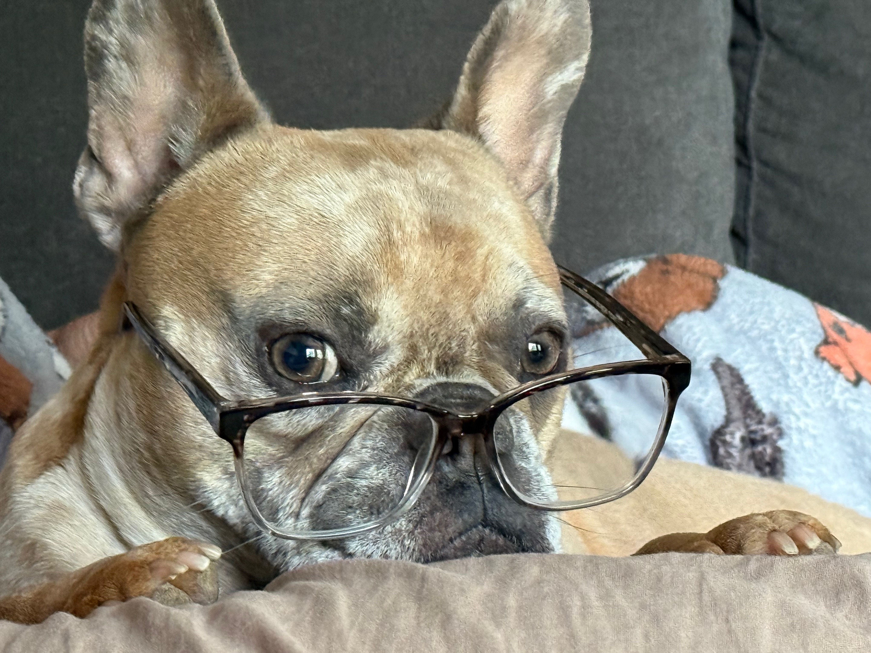 Bella