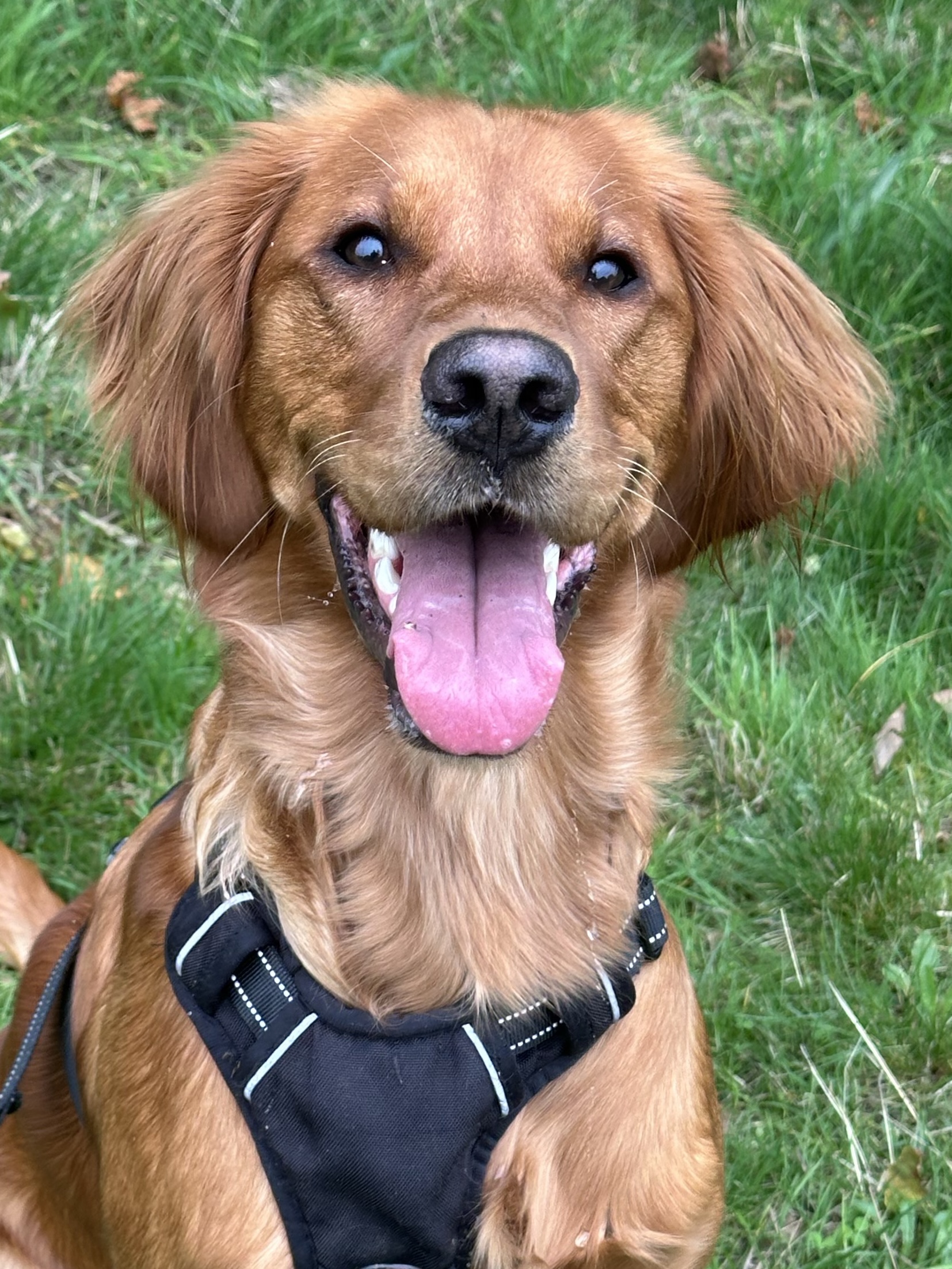 Kaia