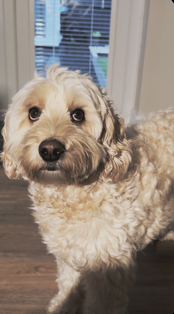 Murphy