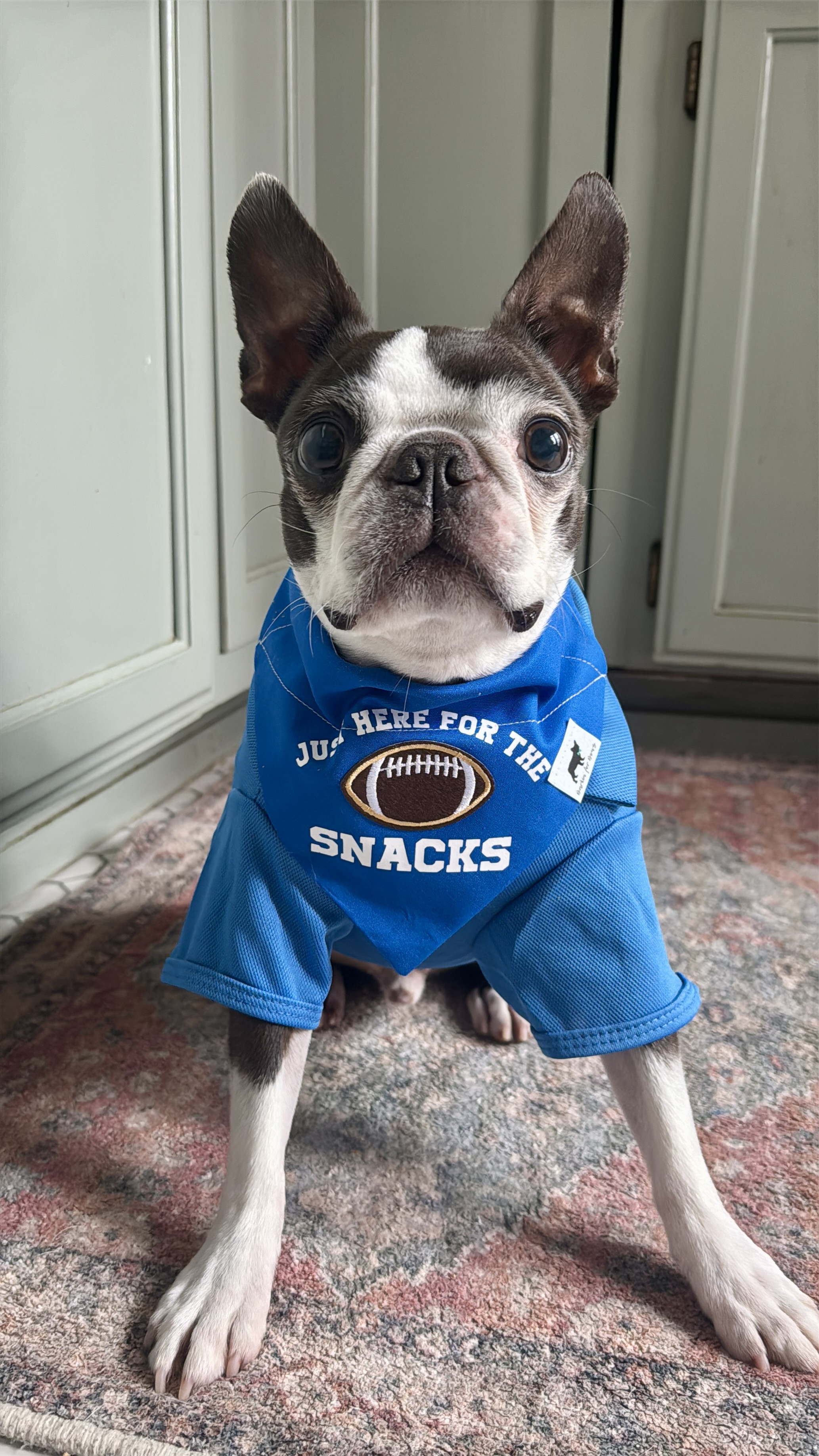 Hops