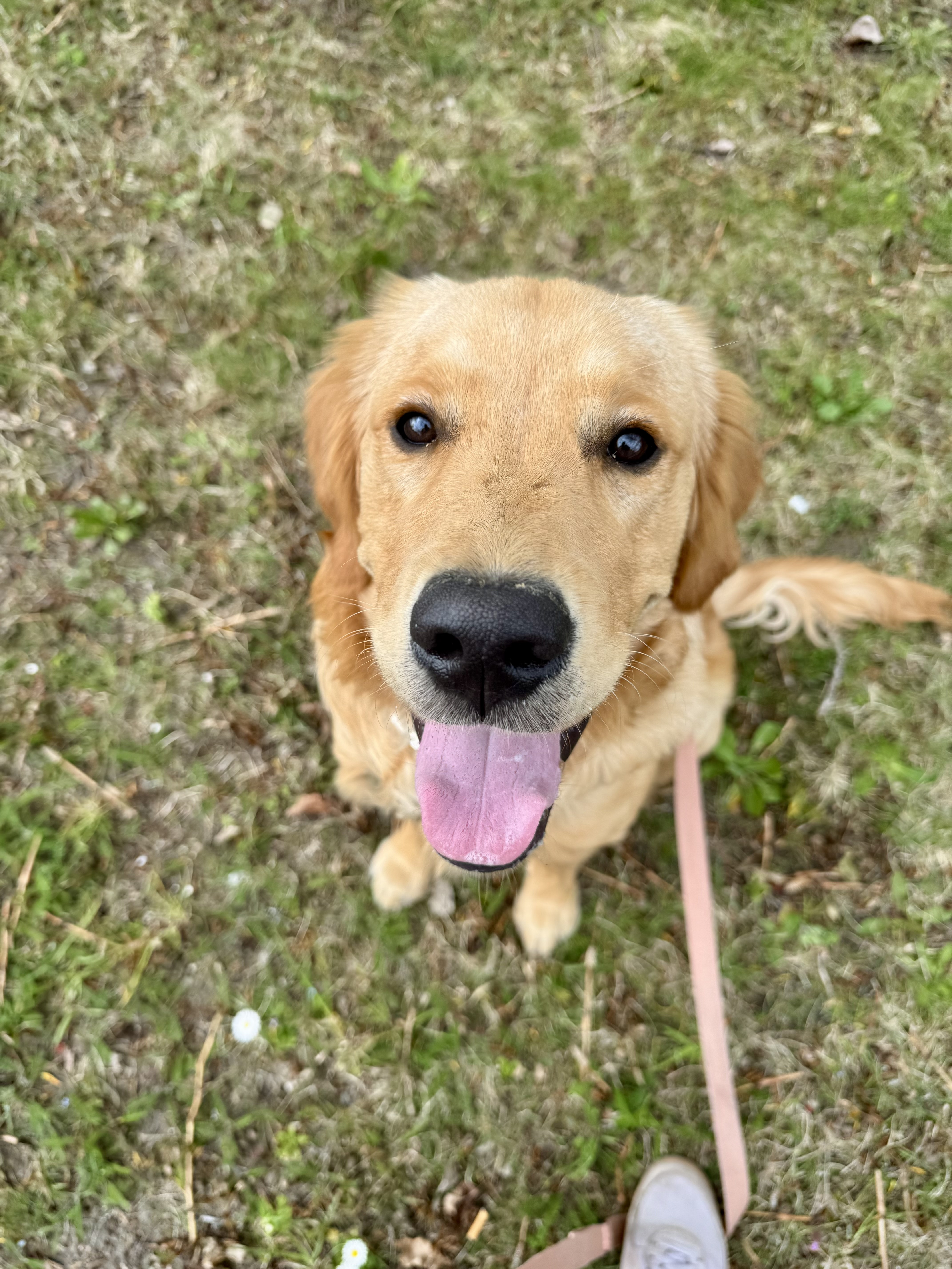 Winston