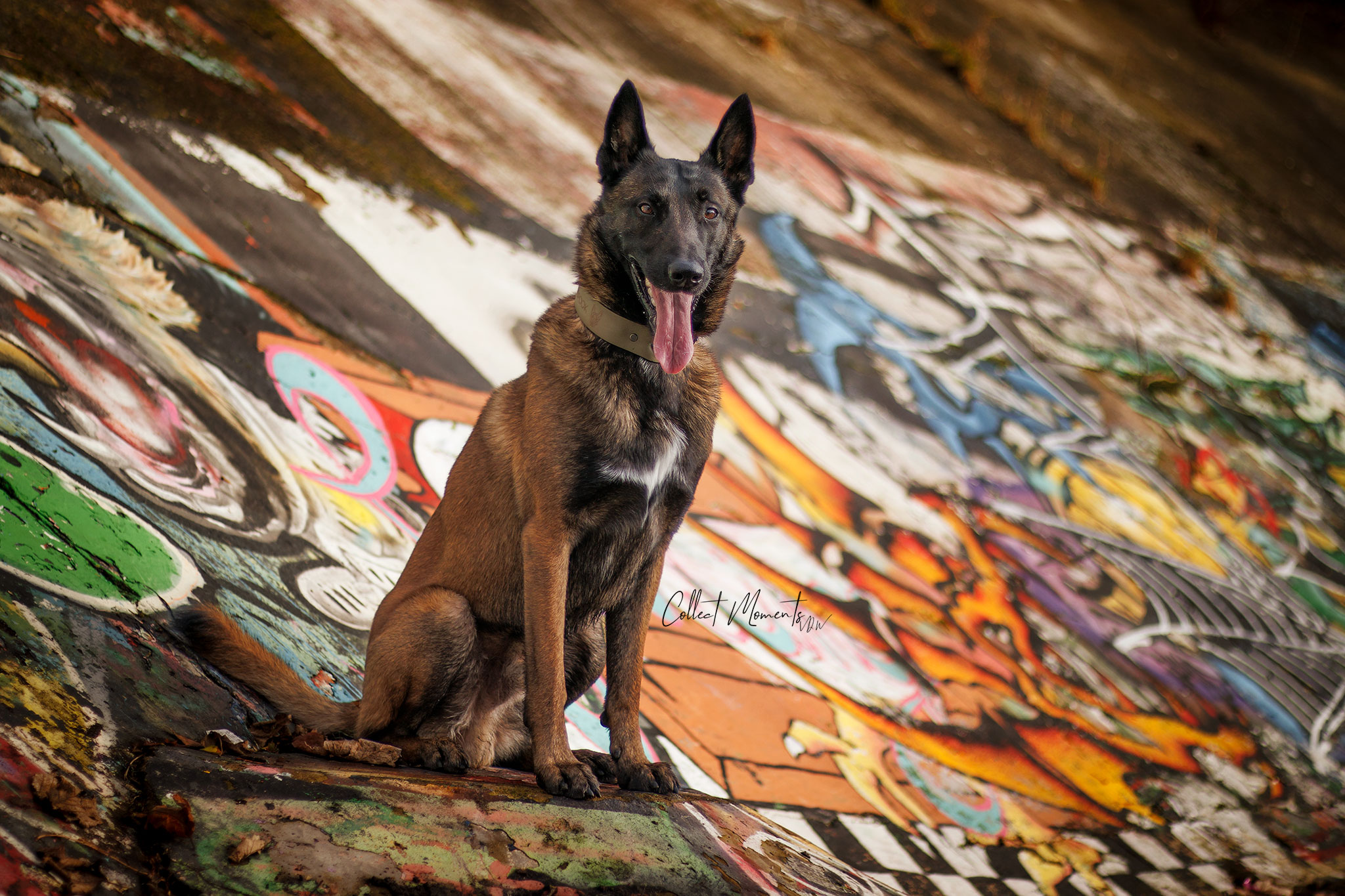 Spock Van de Duvetorre