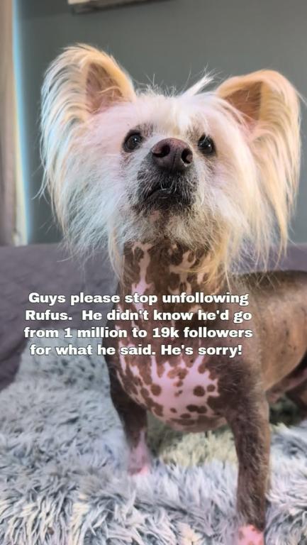 Rufus