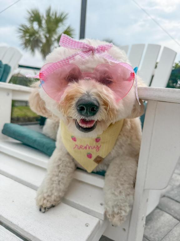 Remy Rose