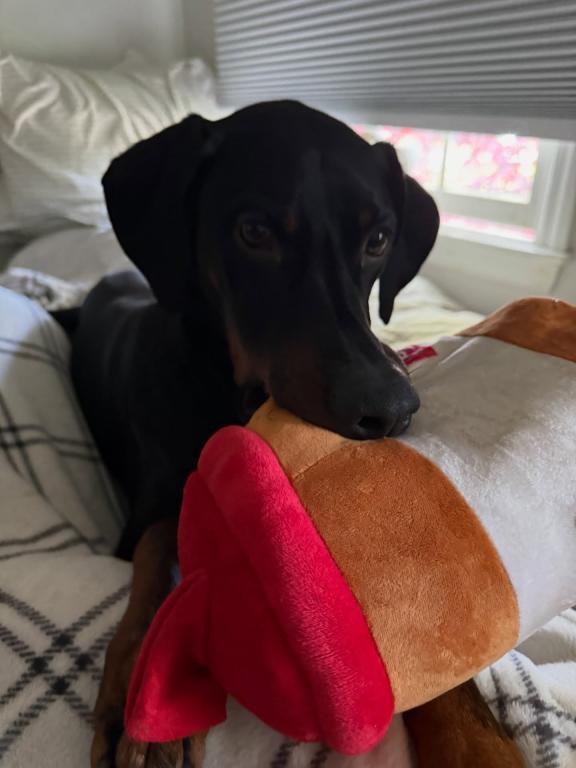 Jax