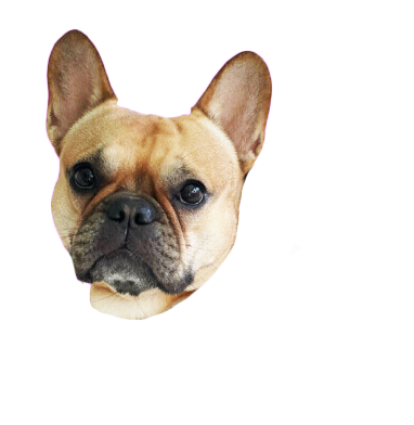 Lola