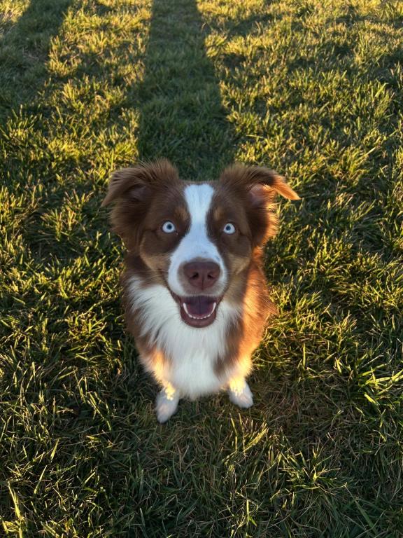 Kali