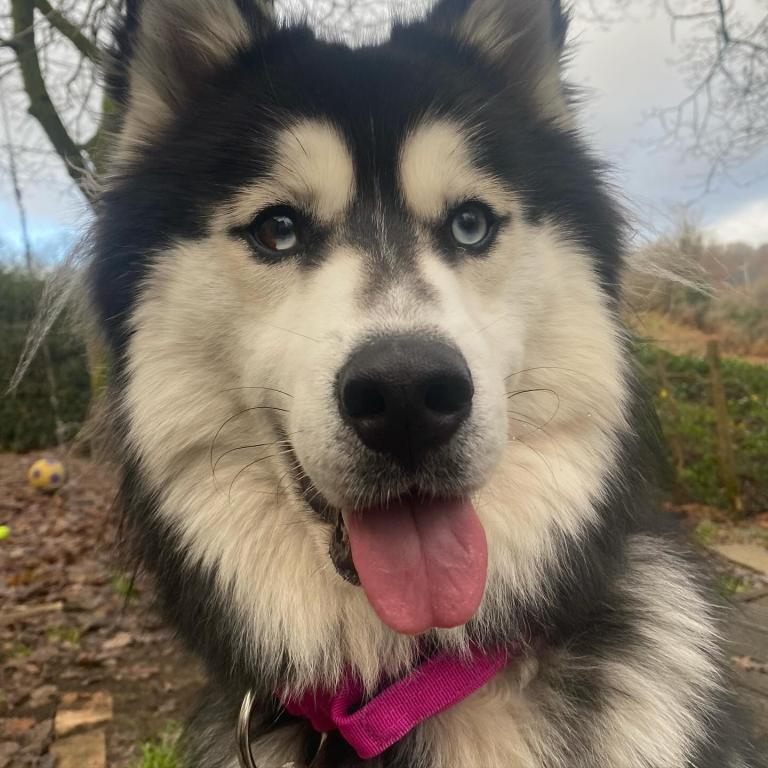 Luna