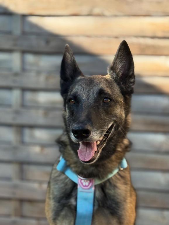 Nala