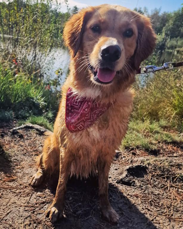 Mollie