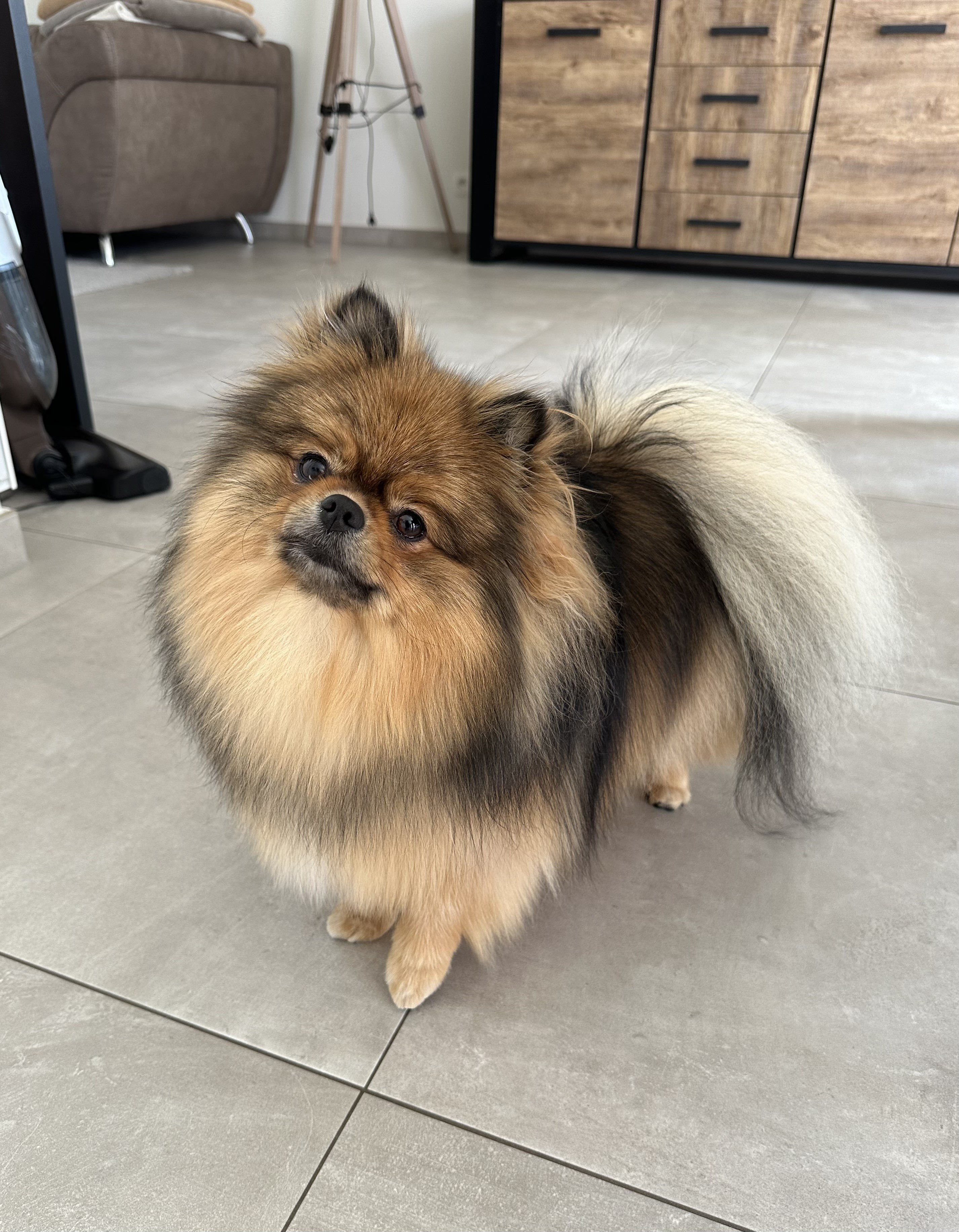 Nala