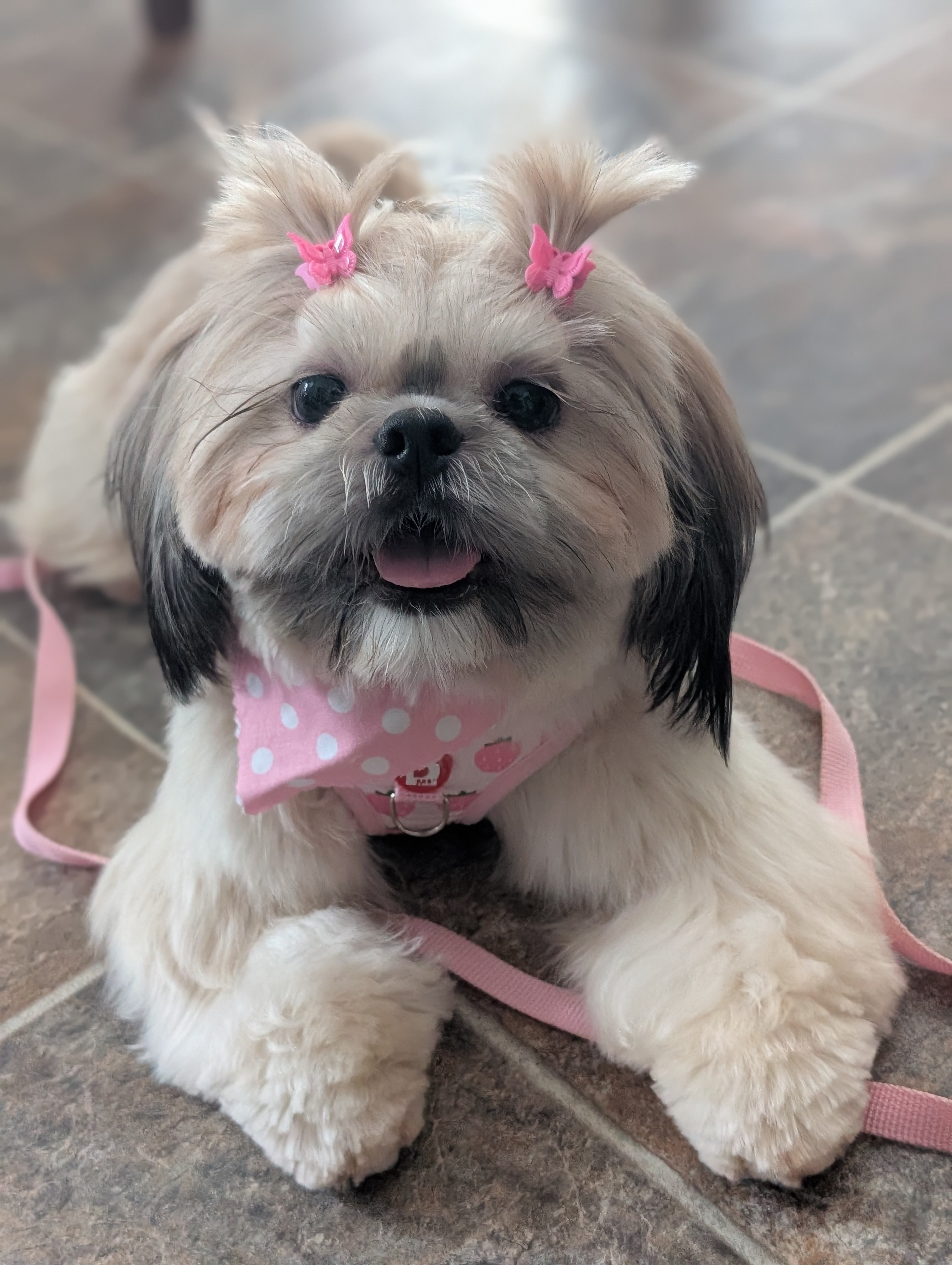 Millie