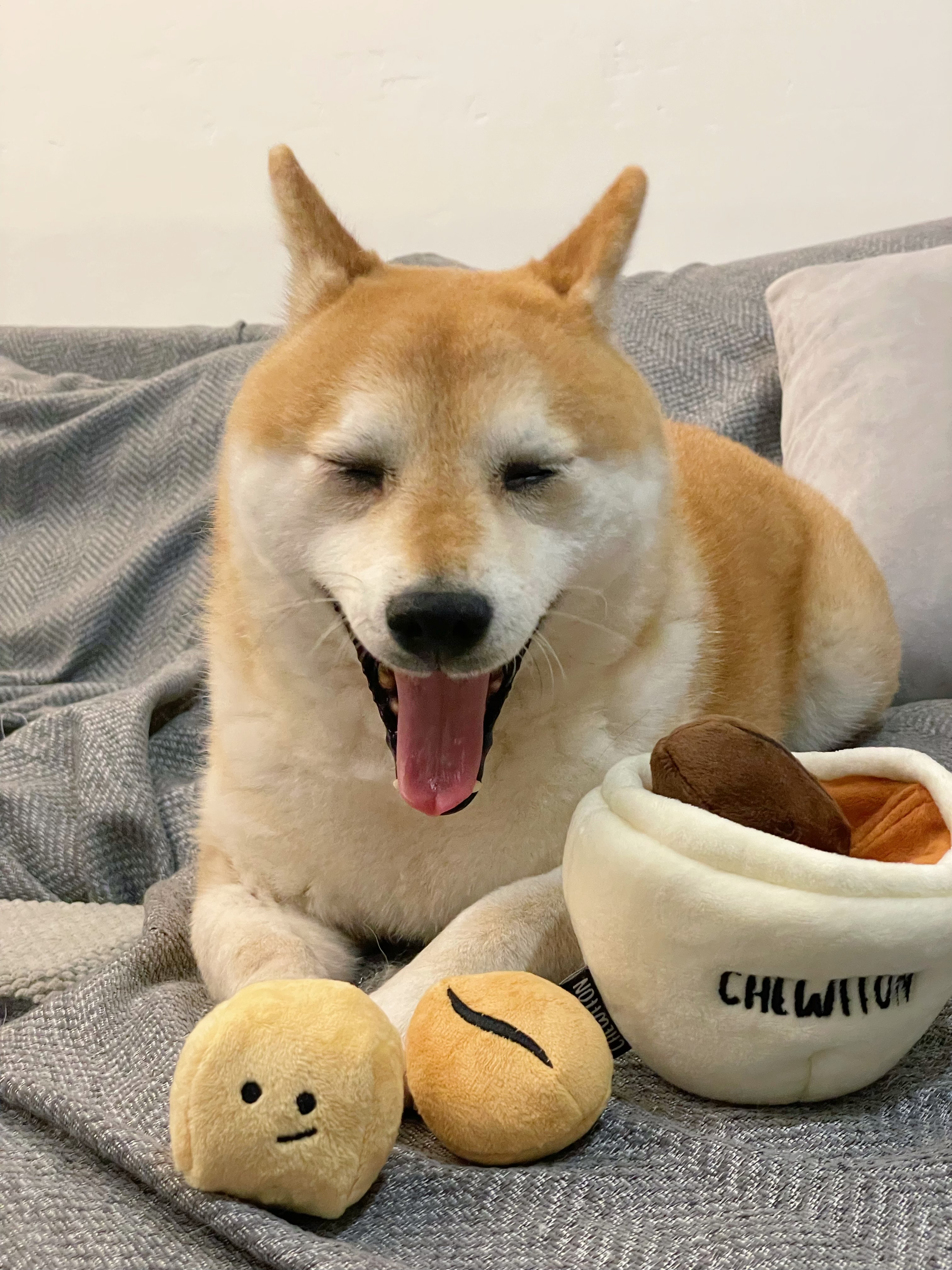 @inuharu0317