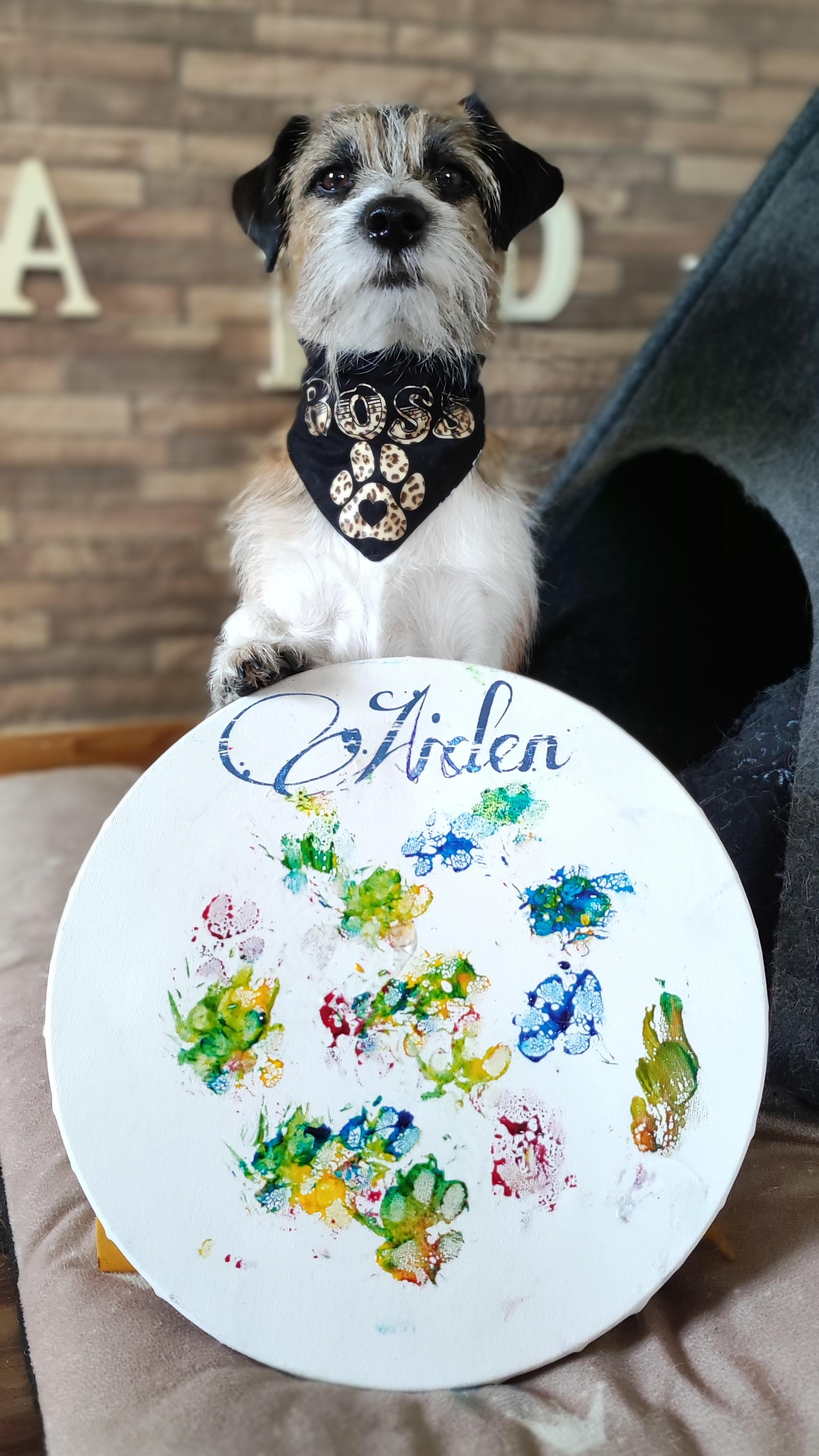 @jackysdesignvariety