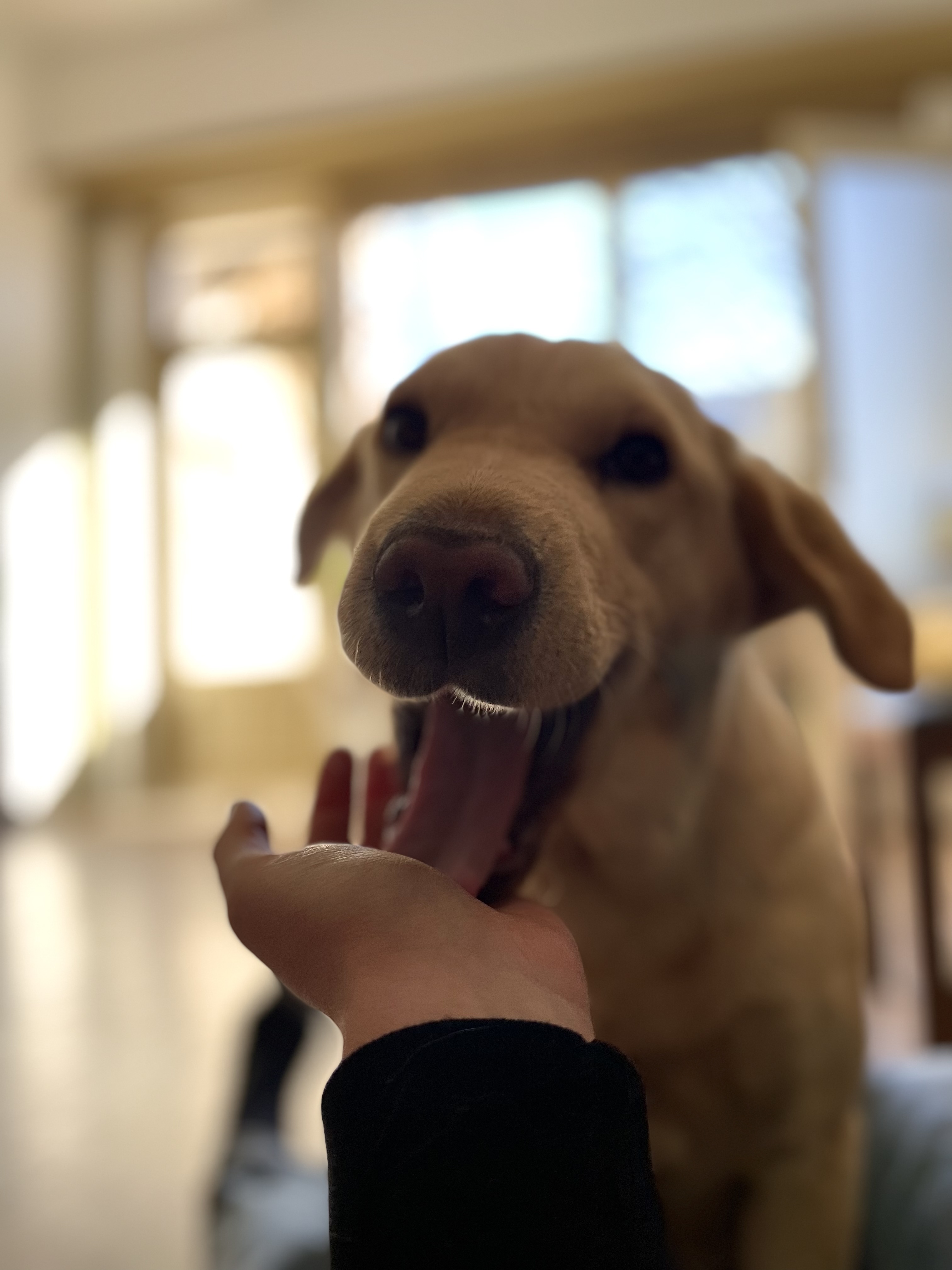 @livinglifewith-nala