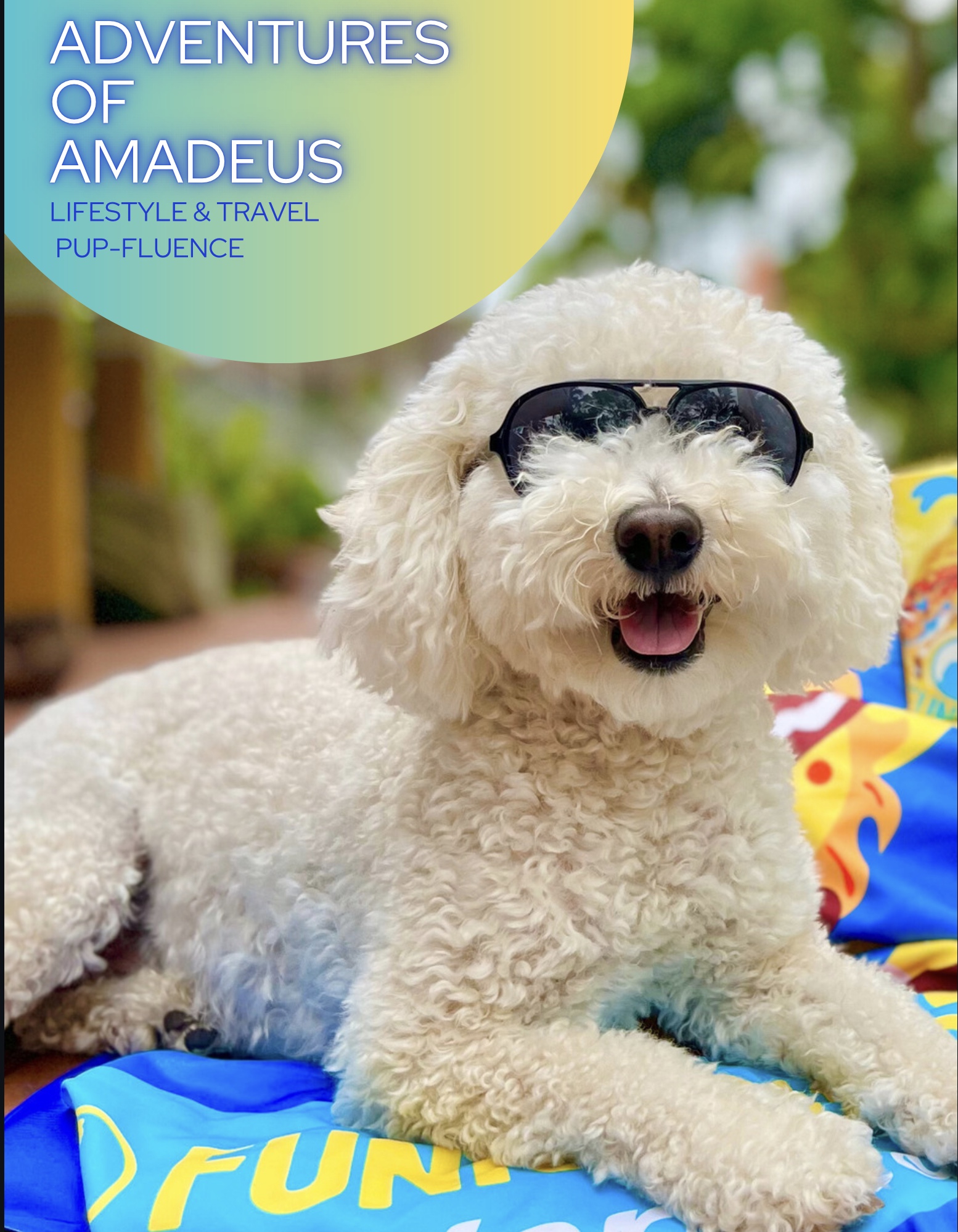 @adventuresofamadeus