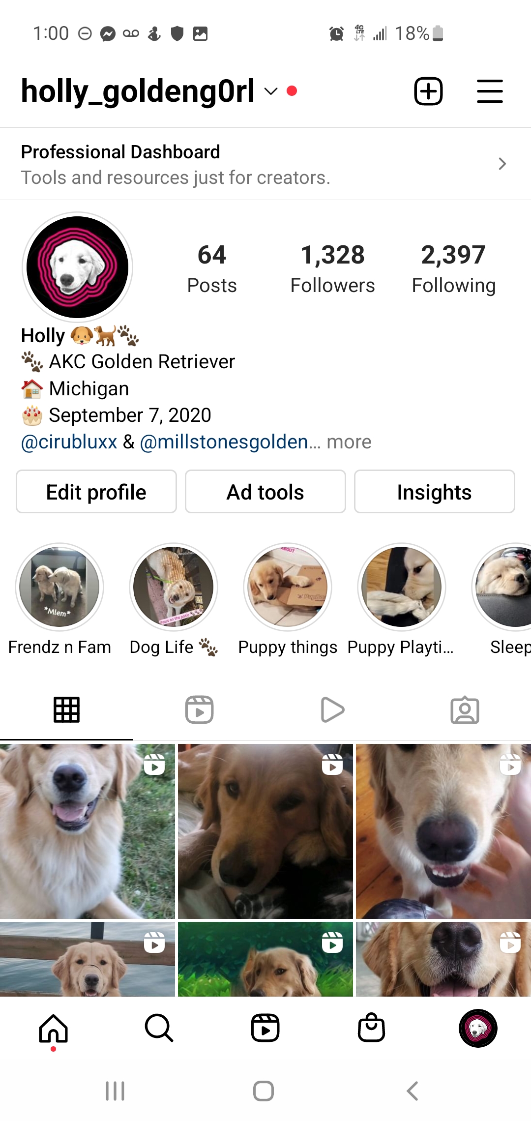@holly-goldeng0rl