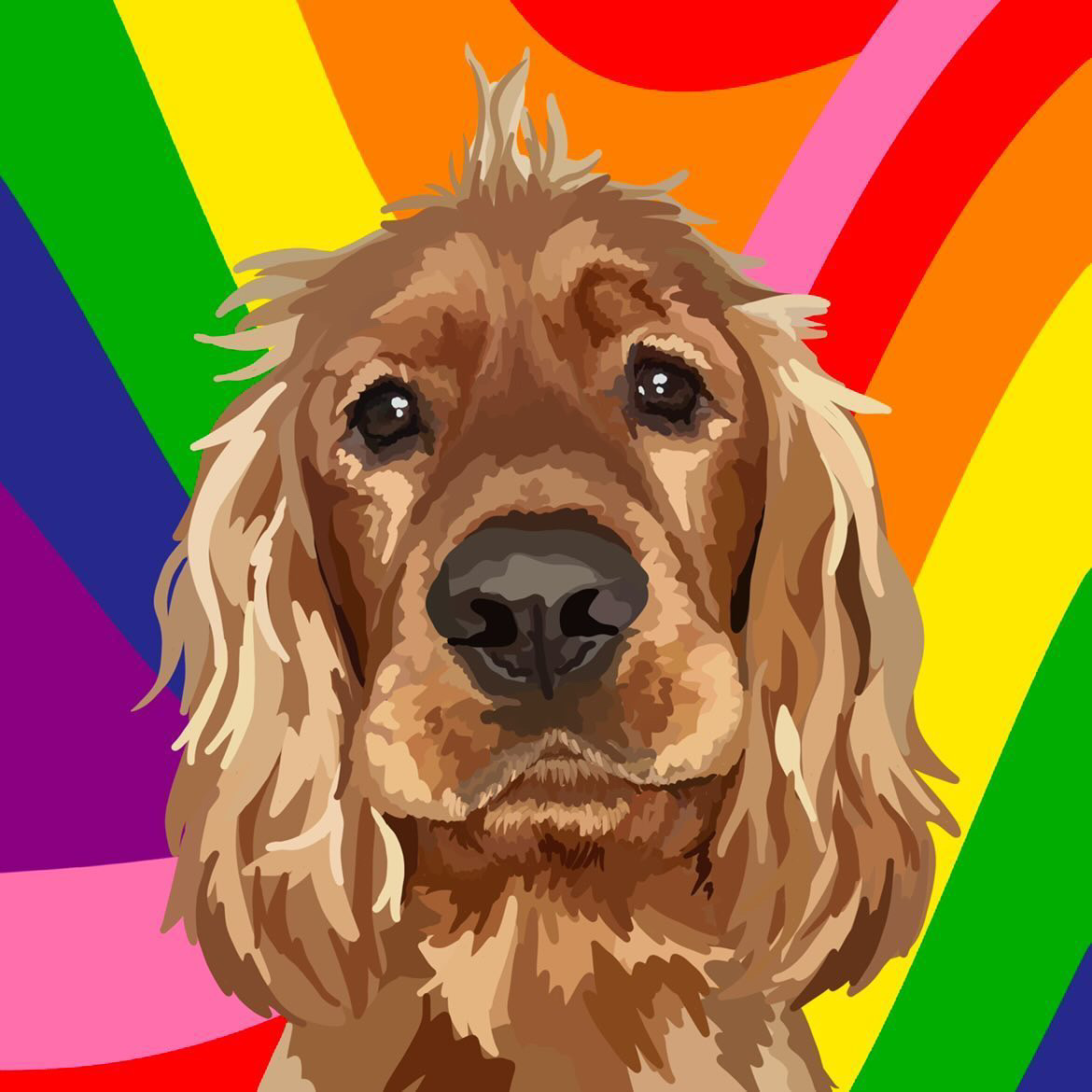 @arlo-thecockerspan-tt