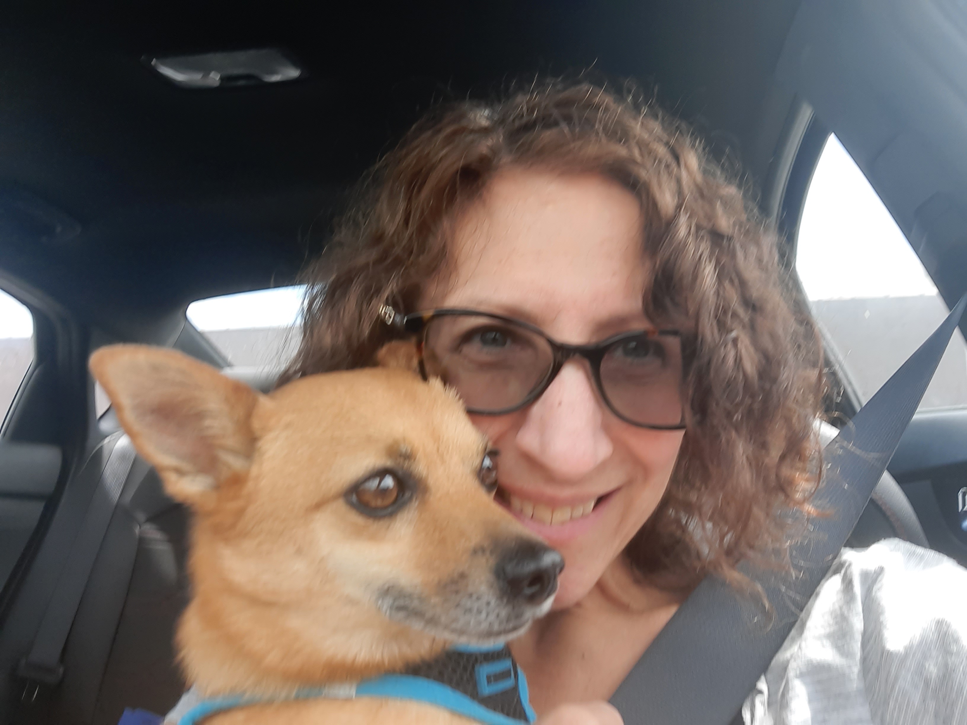 @itsapomchilifeforus