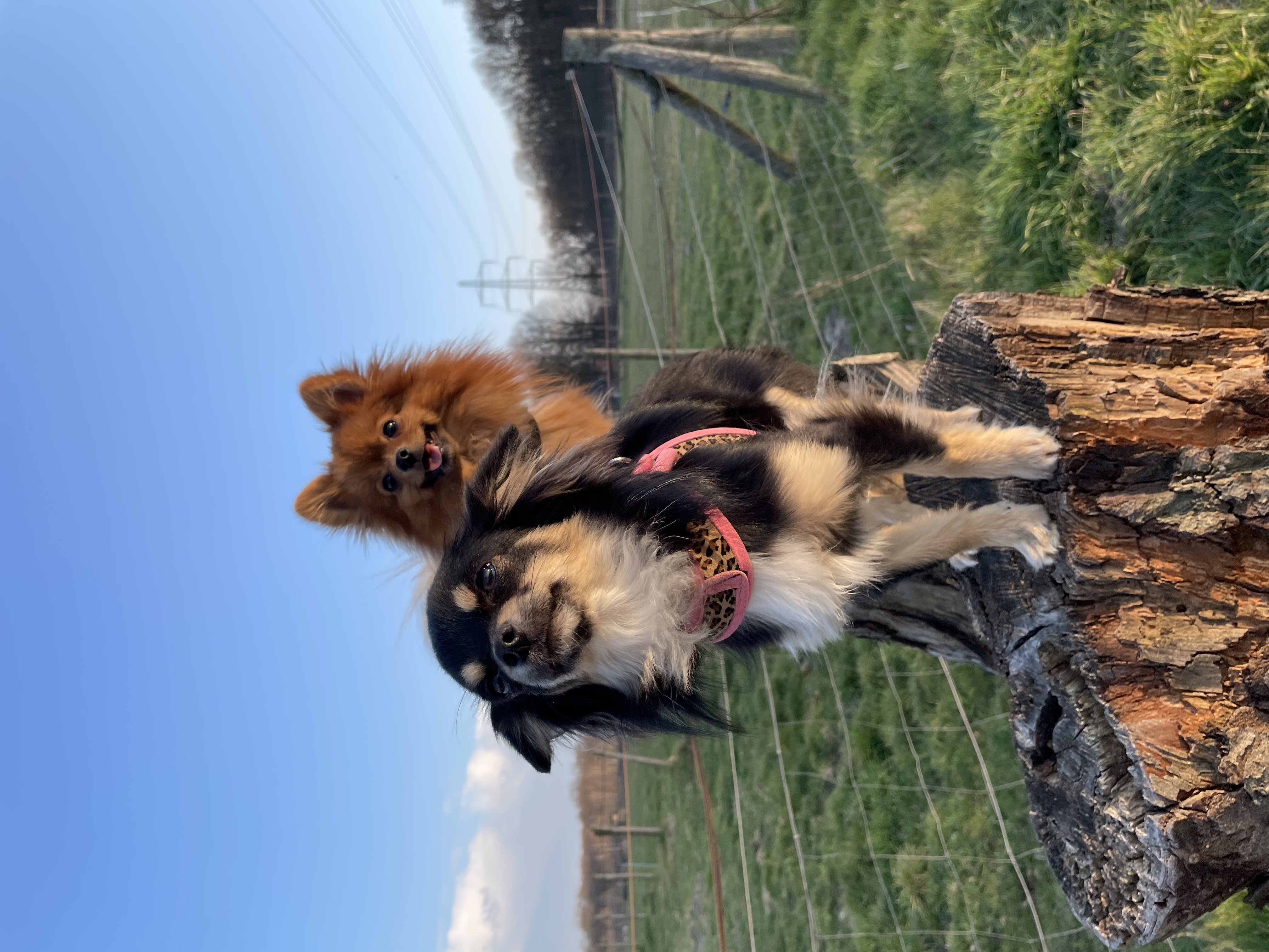 @terrorteddybadbailey