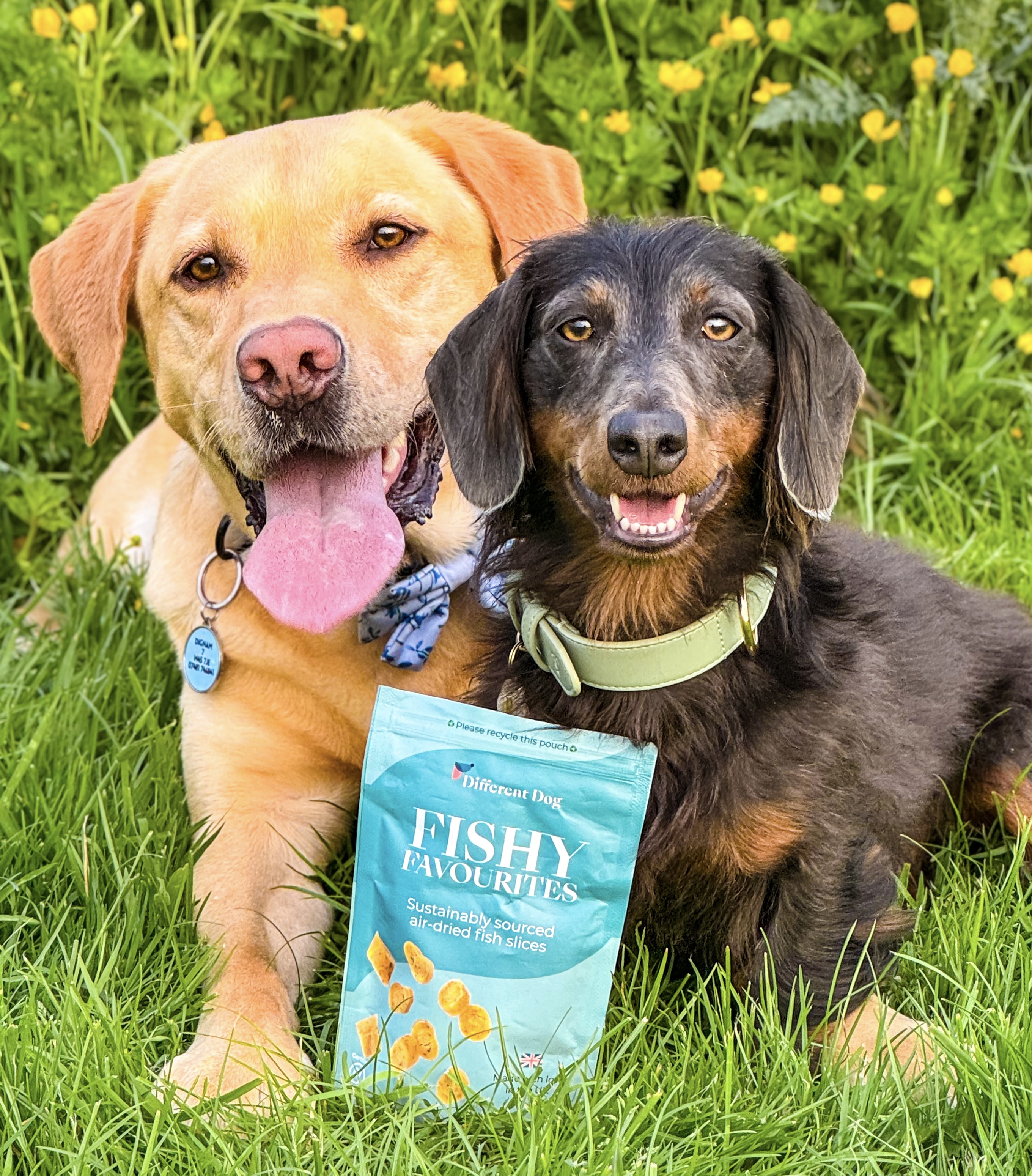 @littleandlargeadventures